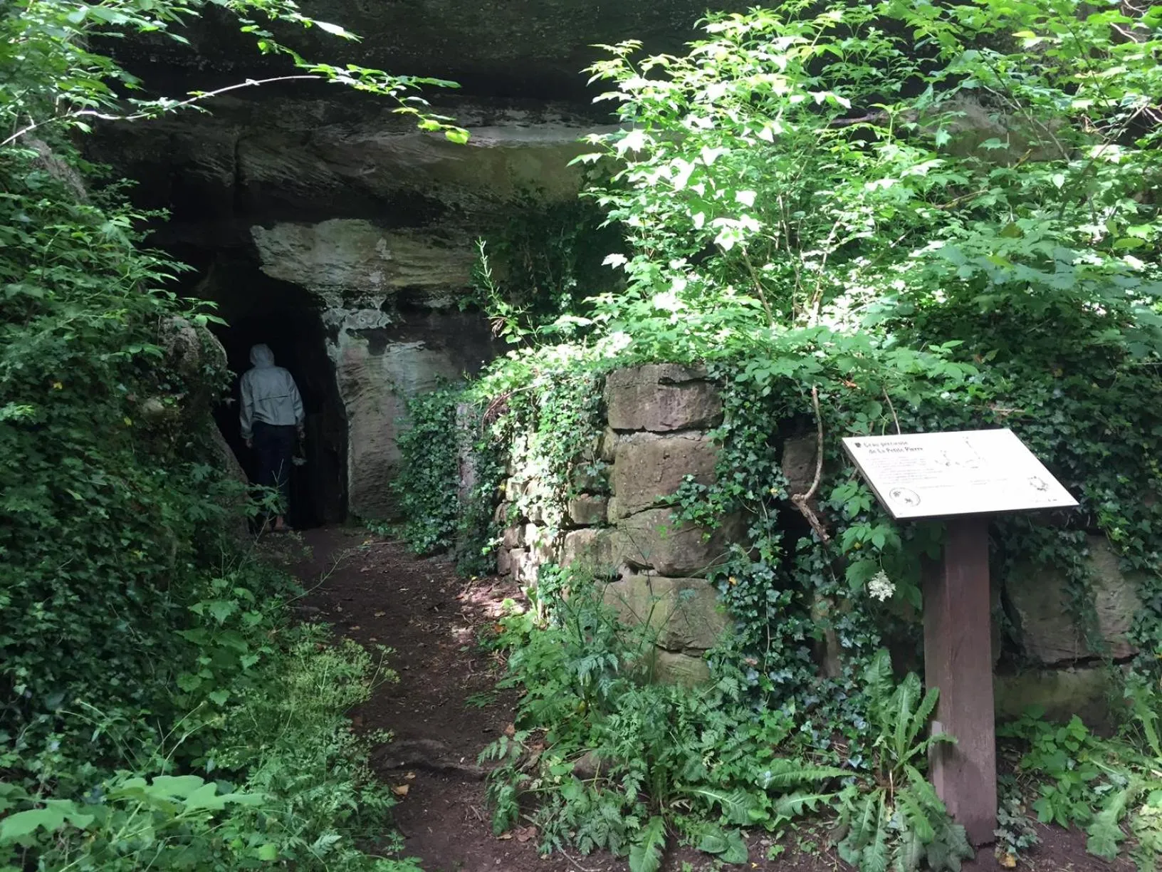 Neighbourhood in La Dependance de la Villa des Oiseaux - La Petite Pierre