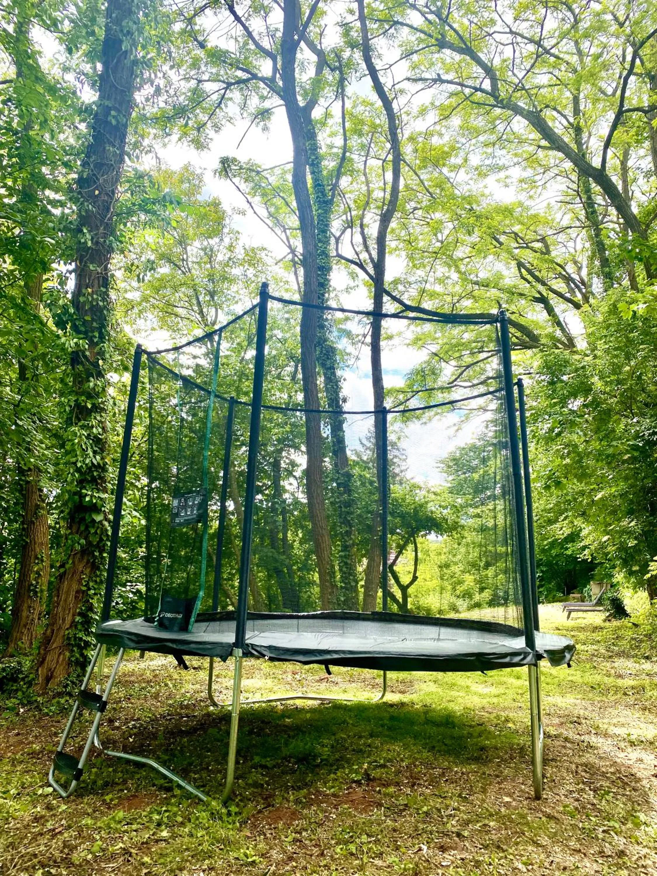 La Dependance de la Villa des Oiseaux - La Petite Pierre