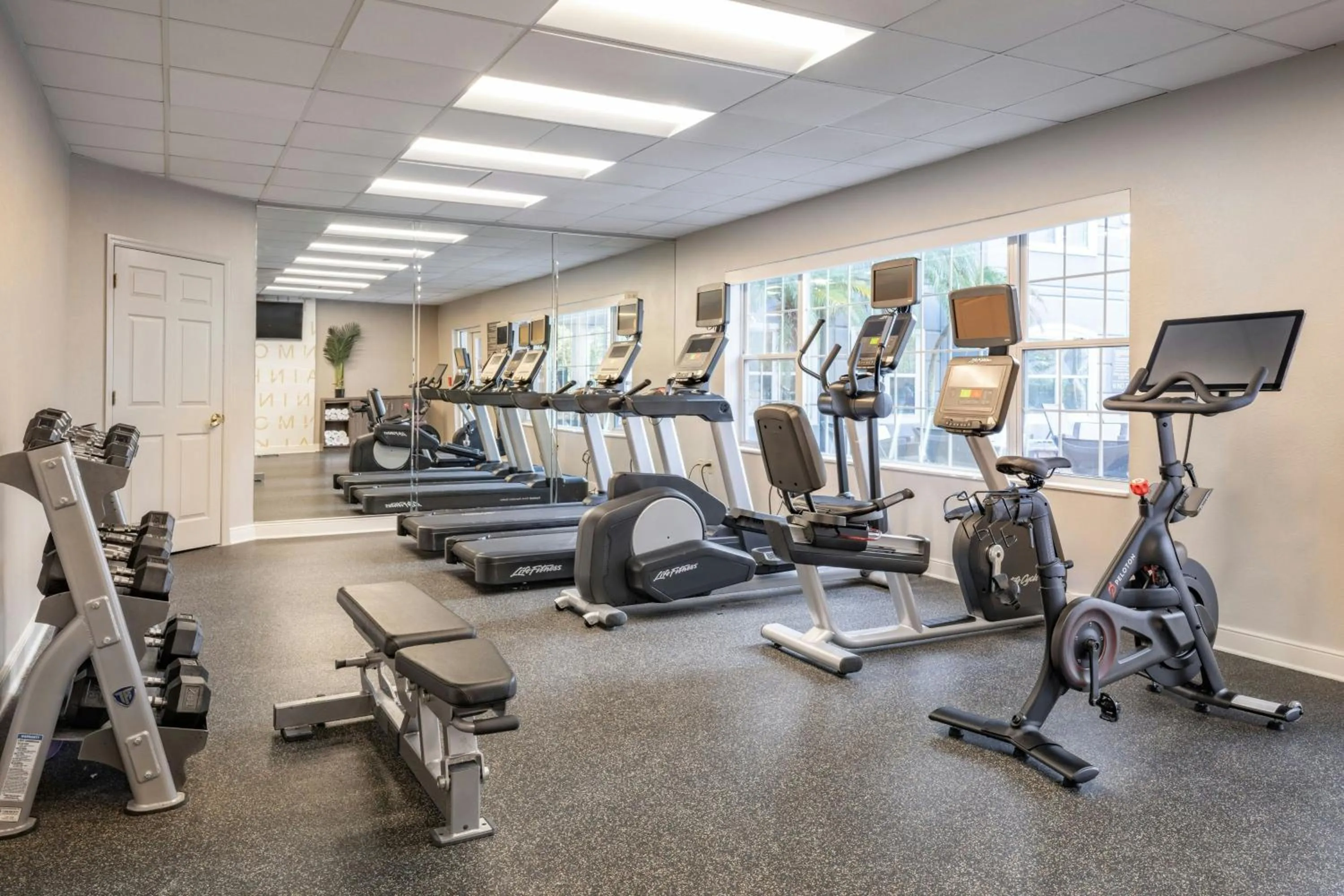 Fitness centre/facilities in Residence Inn Tampa Westshore Airport
