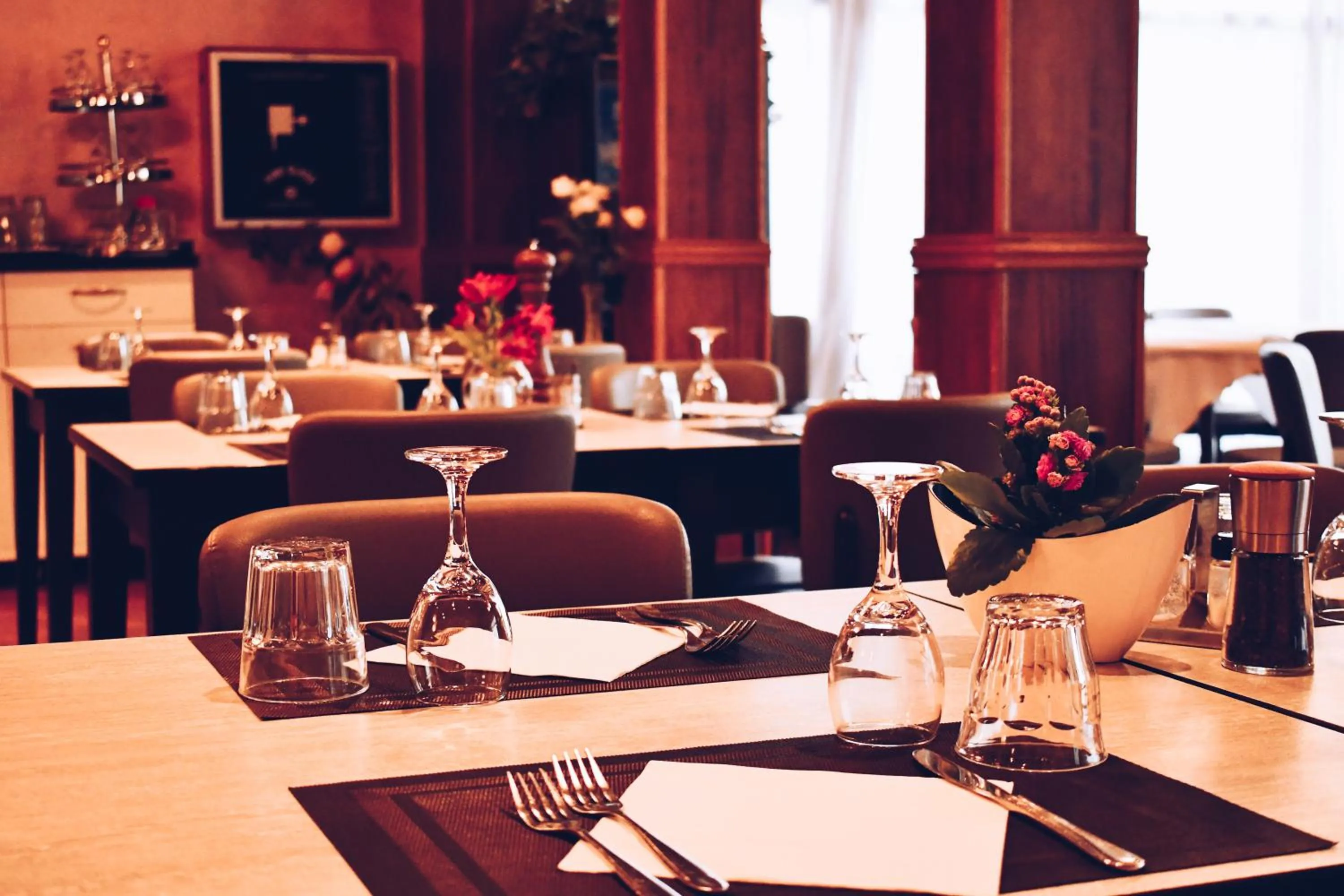 Restaurant/places to eat in Hotel Vienna