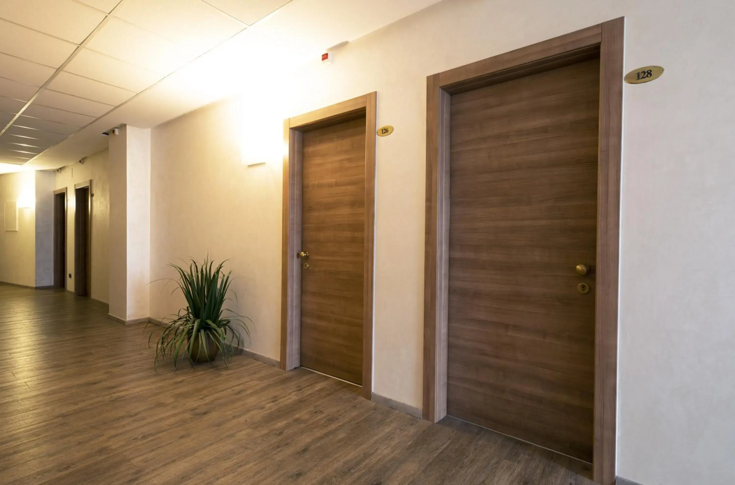 View (from property/room) in Hotel Vienna View (from property/room) in Hotel Vienna