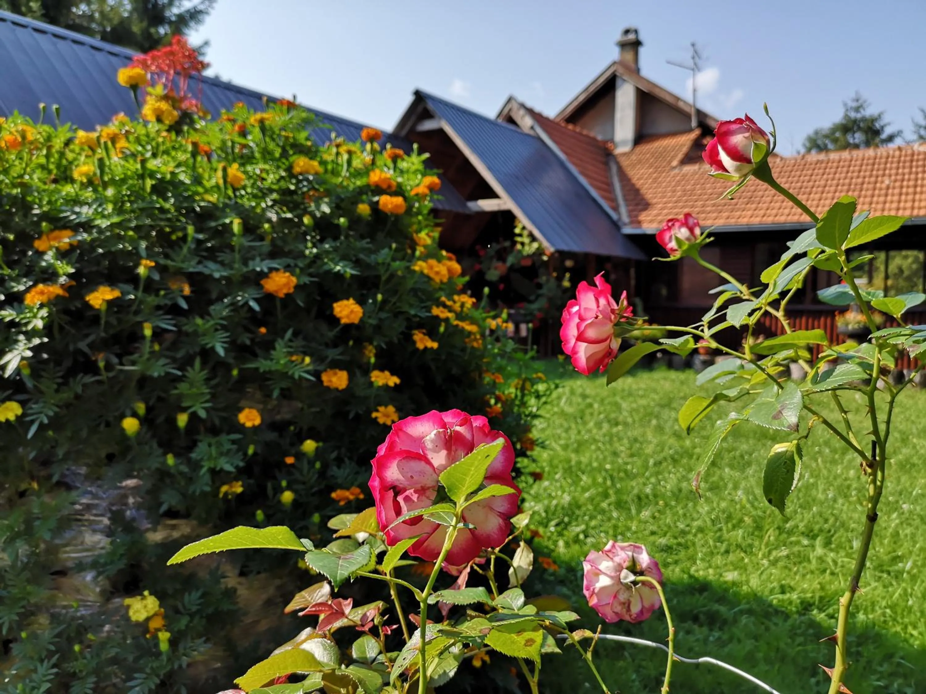 Guesthouse Ramović