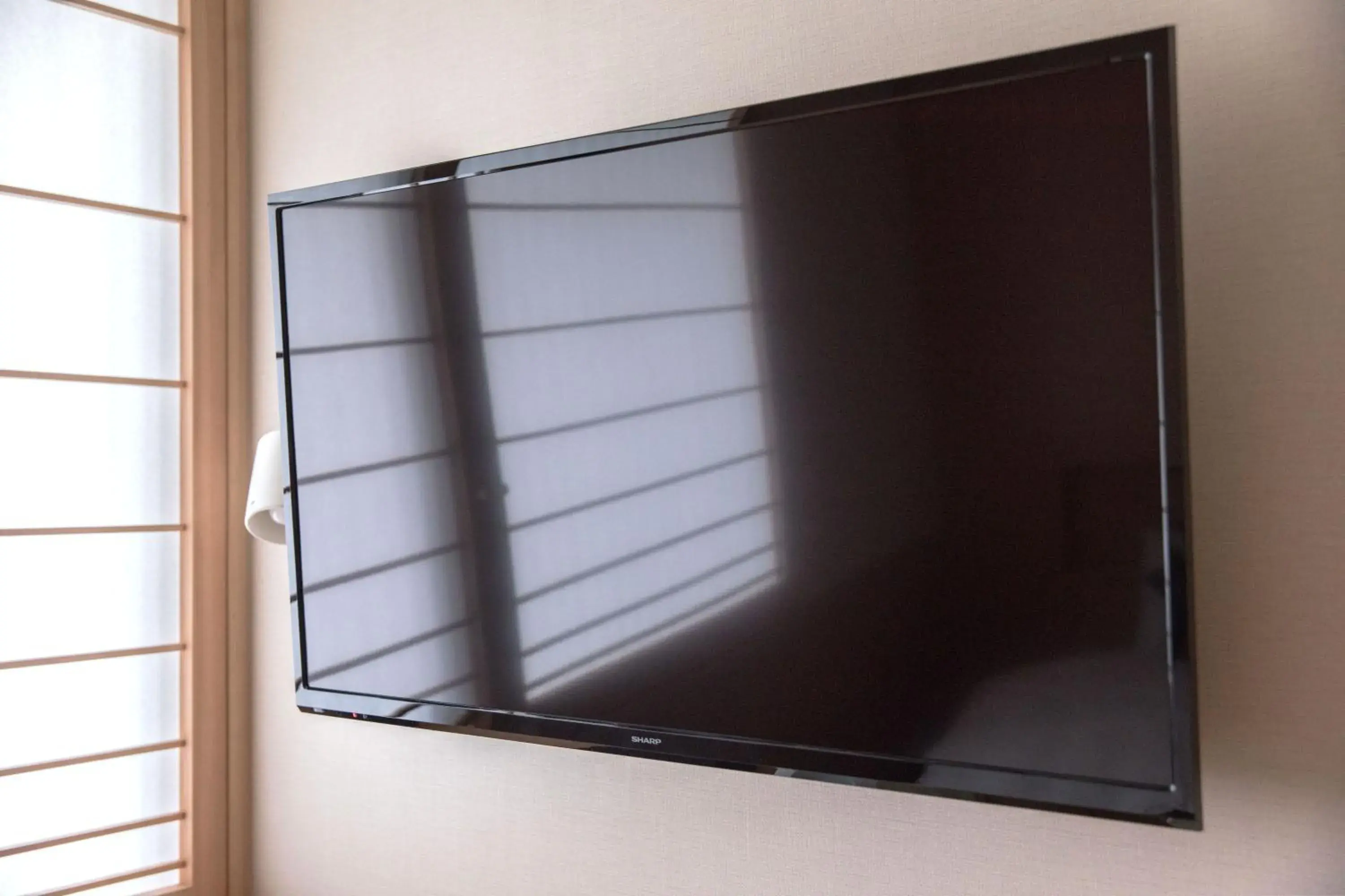 TV and multimedia in Number 6 Nijo TV and multimedia in Number 6 Nijo