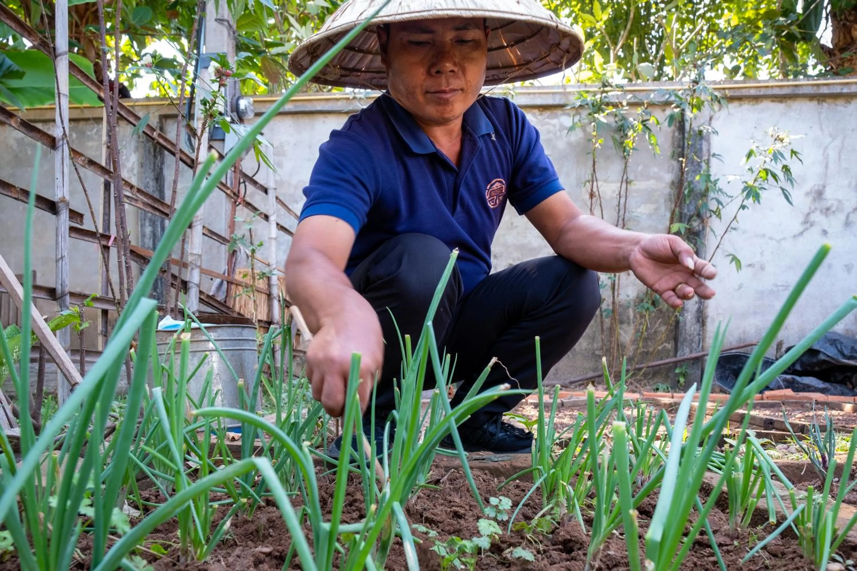 Garden in Residence Bassac