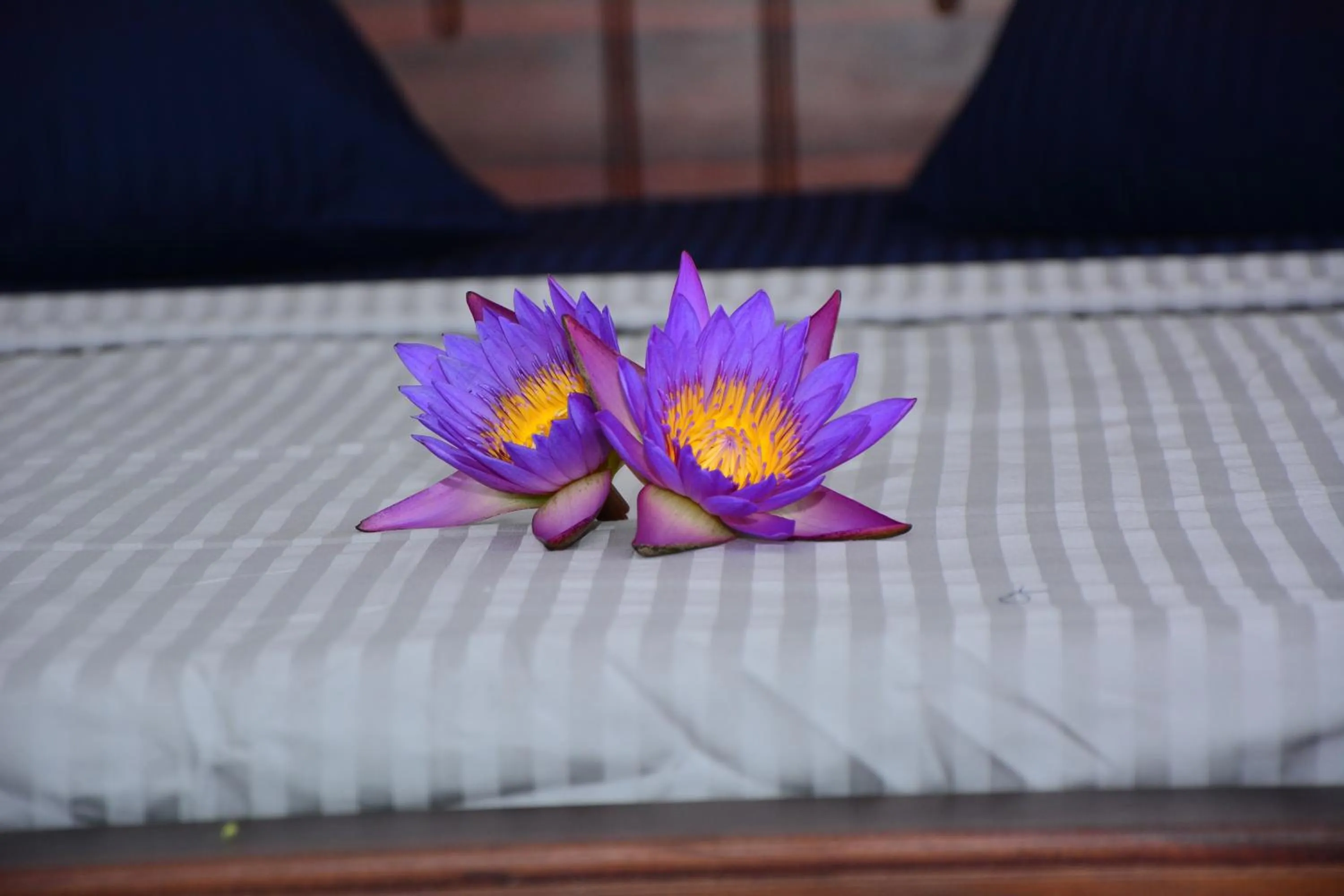 Bedroom in Hiru Villa Tangalle