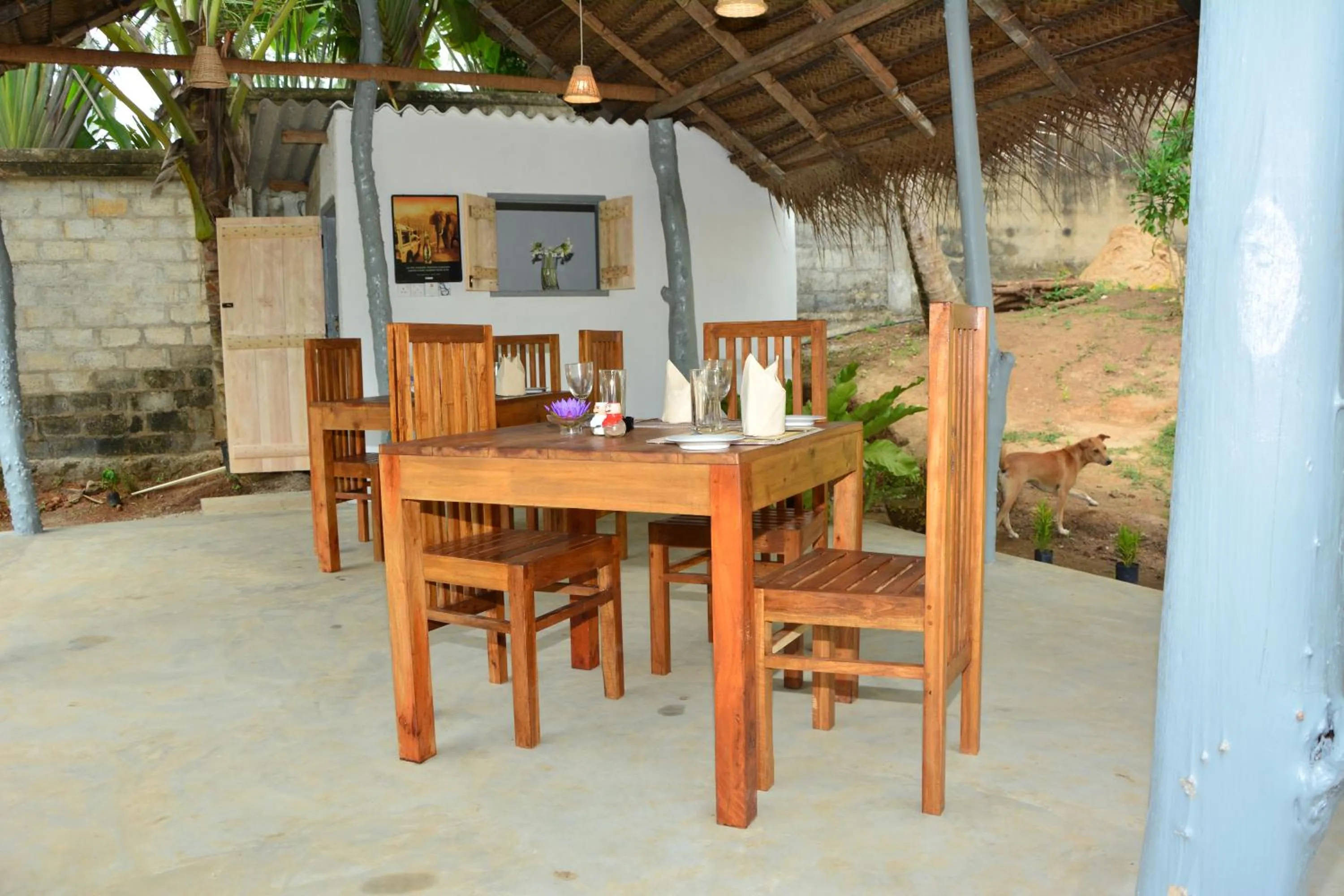 Restaurant/places to eat in Hiru Villa Tangalle