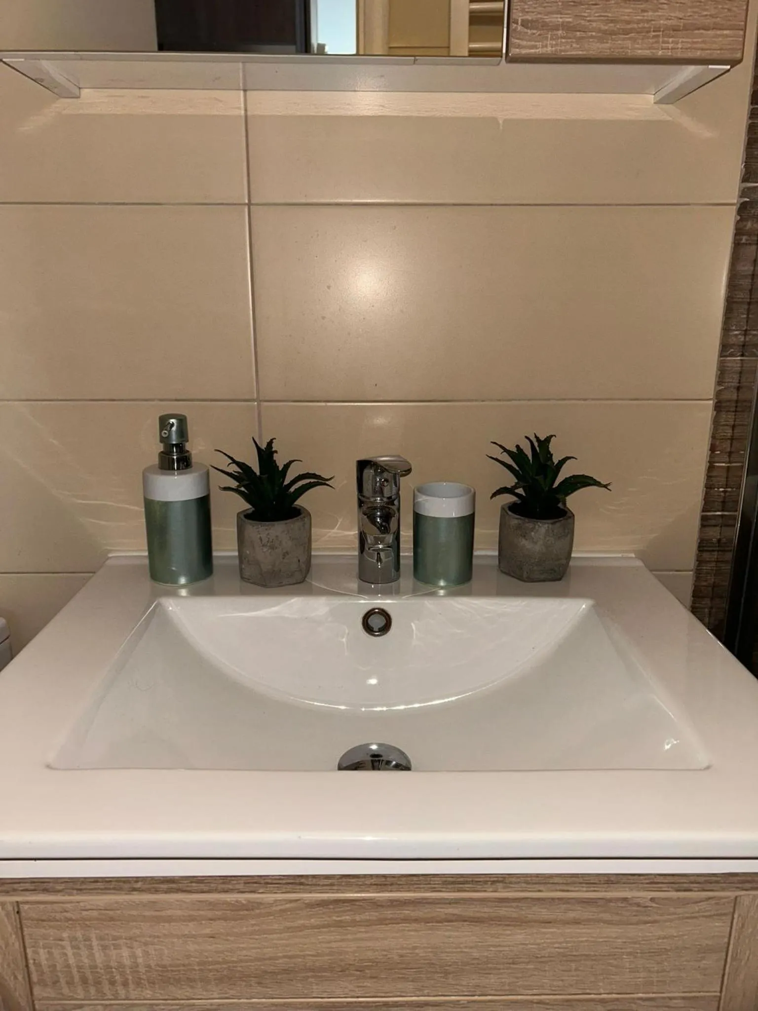 Bathroom in Flat Kosutnjak 9