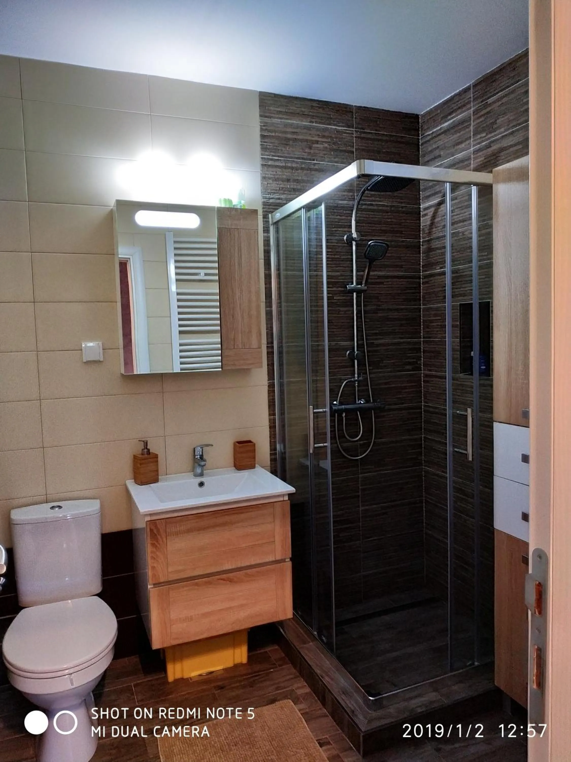 Shower in Flat Kosutnjak 9