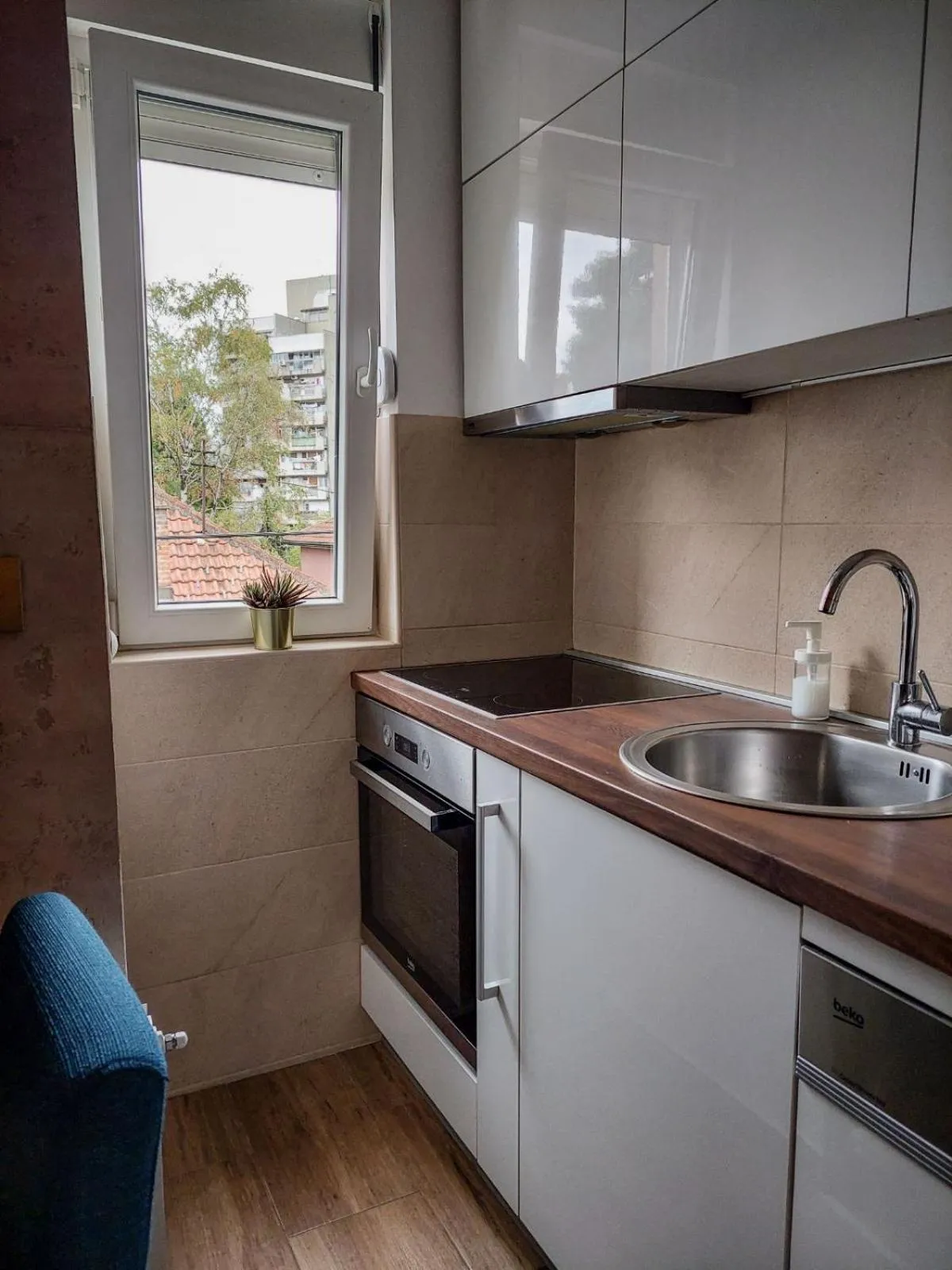 Kitchen or kitchenette in Flat Kosutnjak 9