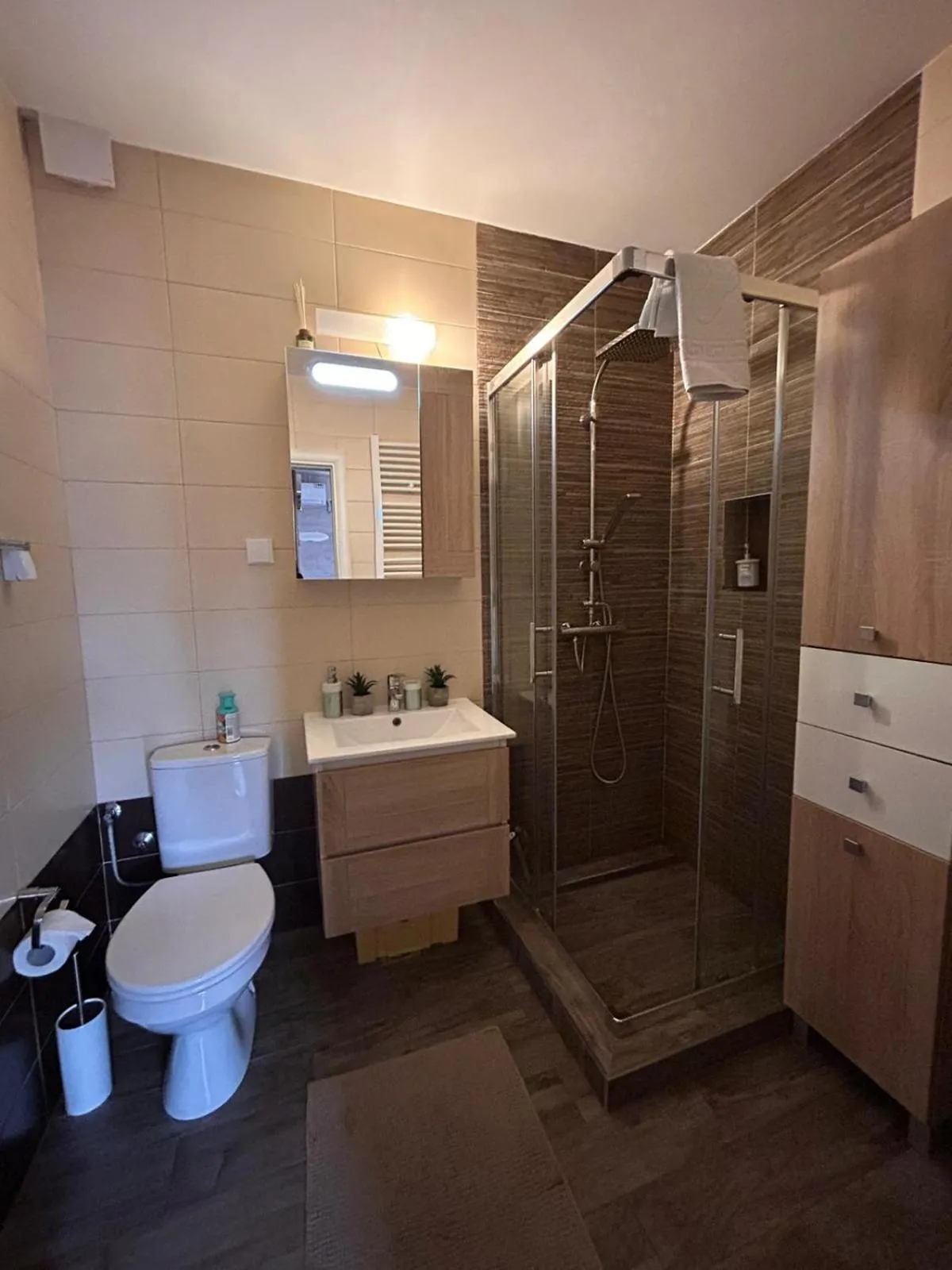 Bathroom in Flat Kosutnjak 9