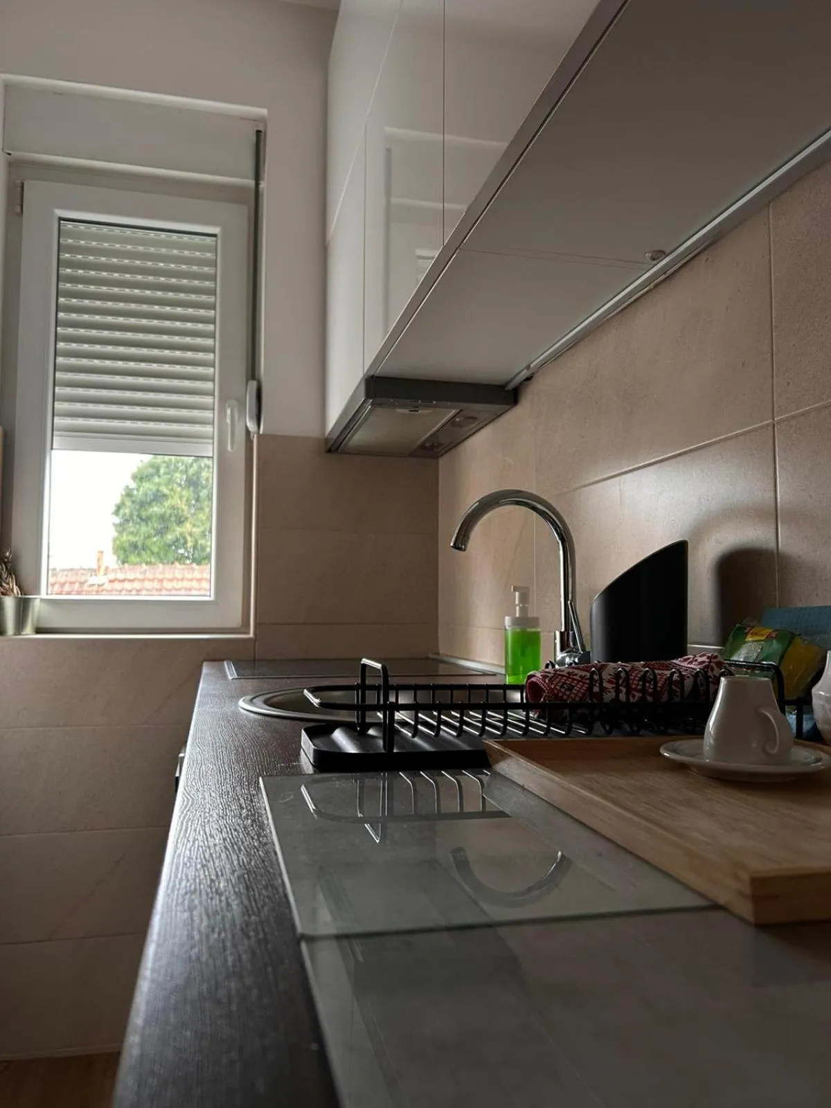 Kitchen or kitchenette in Flat Kosutnjak 9
