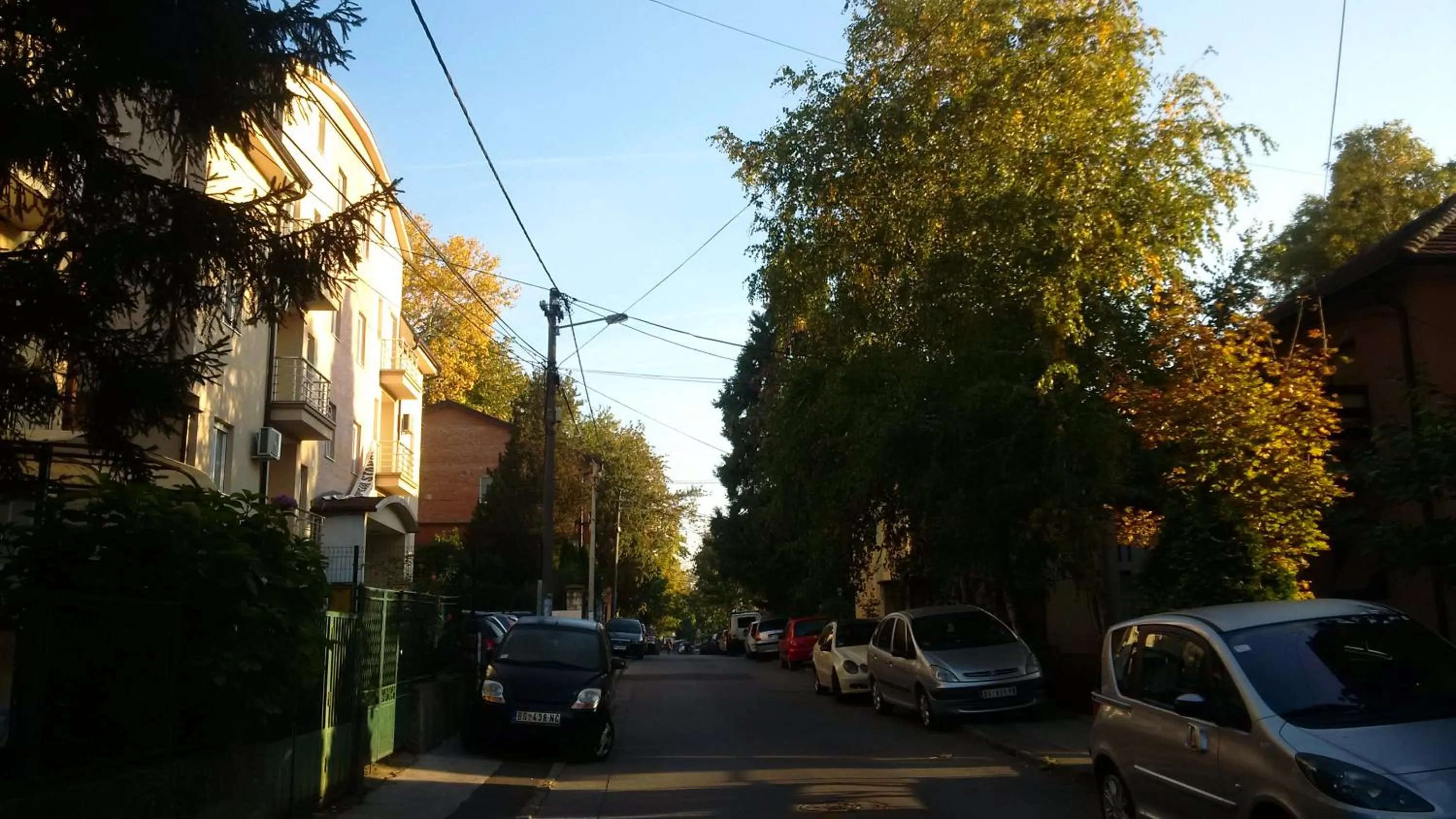Property building in Flat Kosutnjak 9