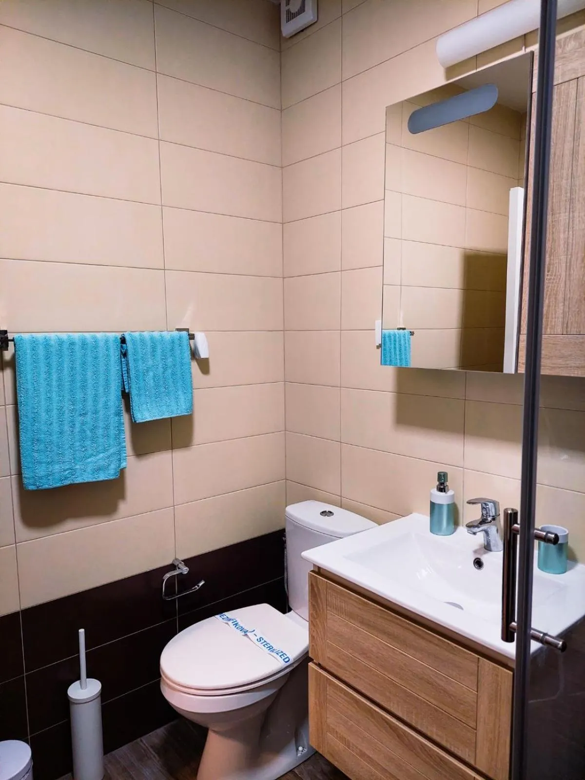 Bathroom in Flat Kosutnjak 9