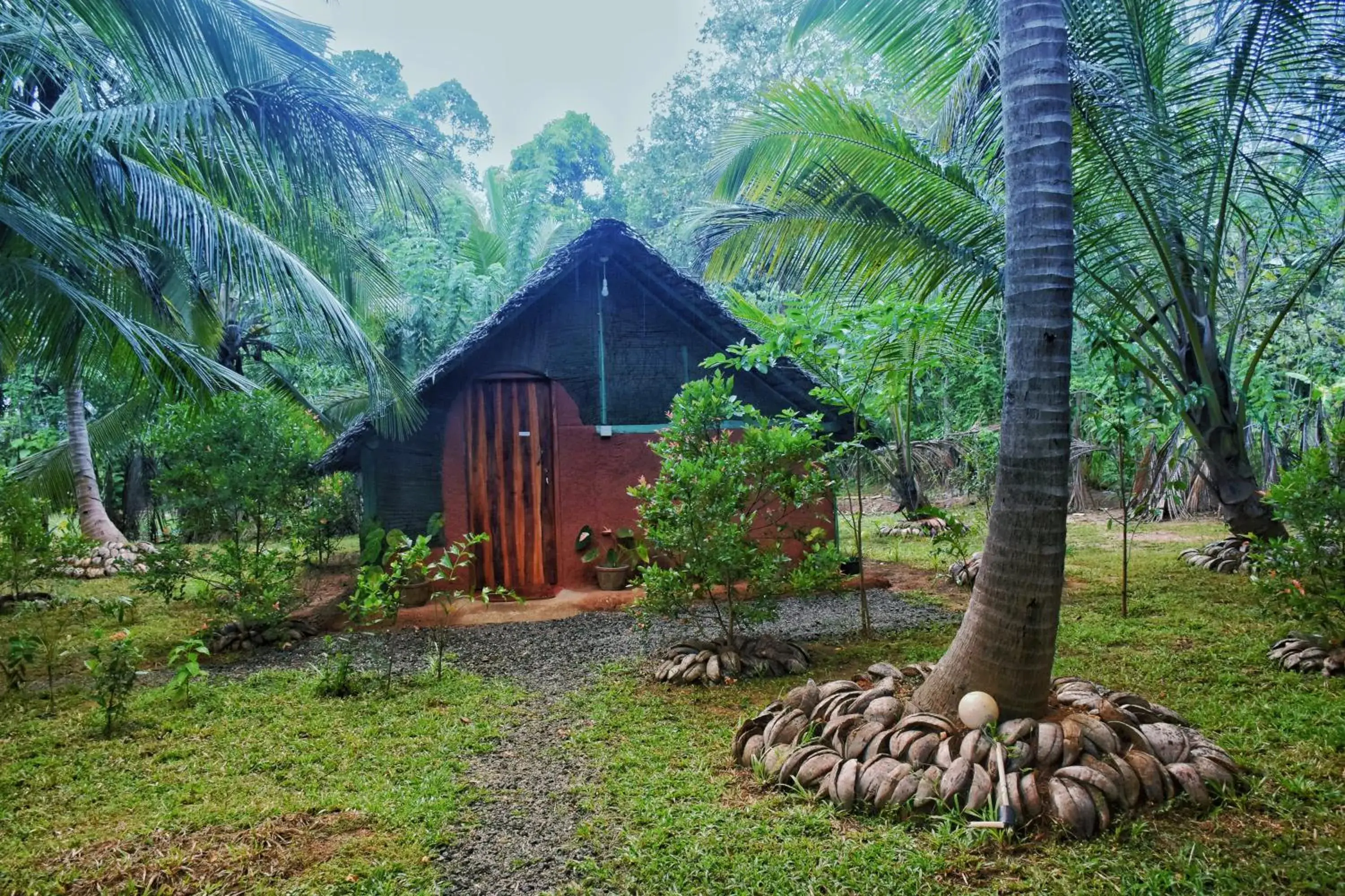 Family Room with Private Bathroom - single occupancy in Passion Ray Villa & Tree Hut Family Room with Private Bathroom - single occupancy in Passion Ray Villa & Tree Hut