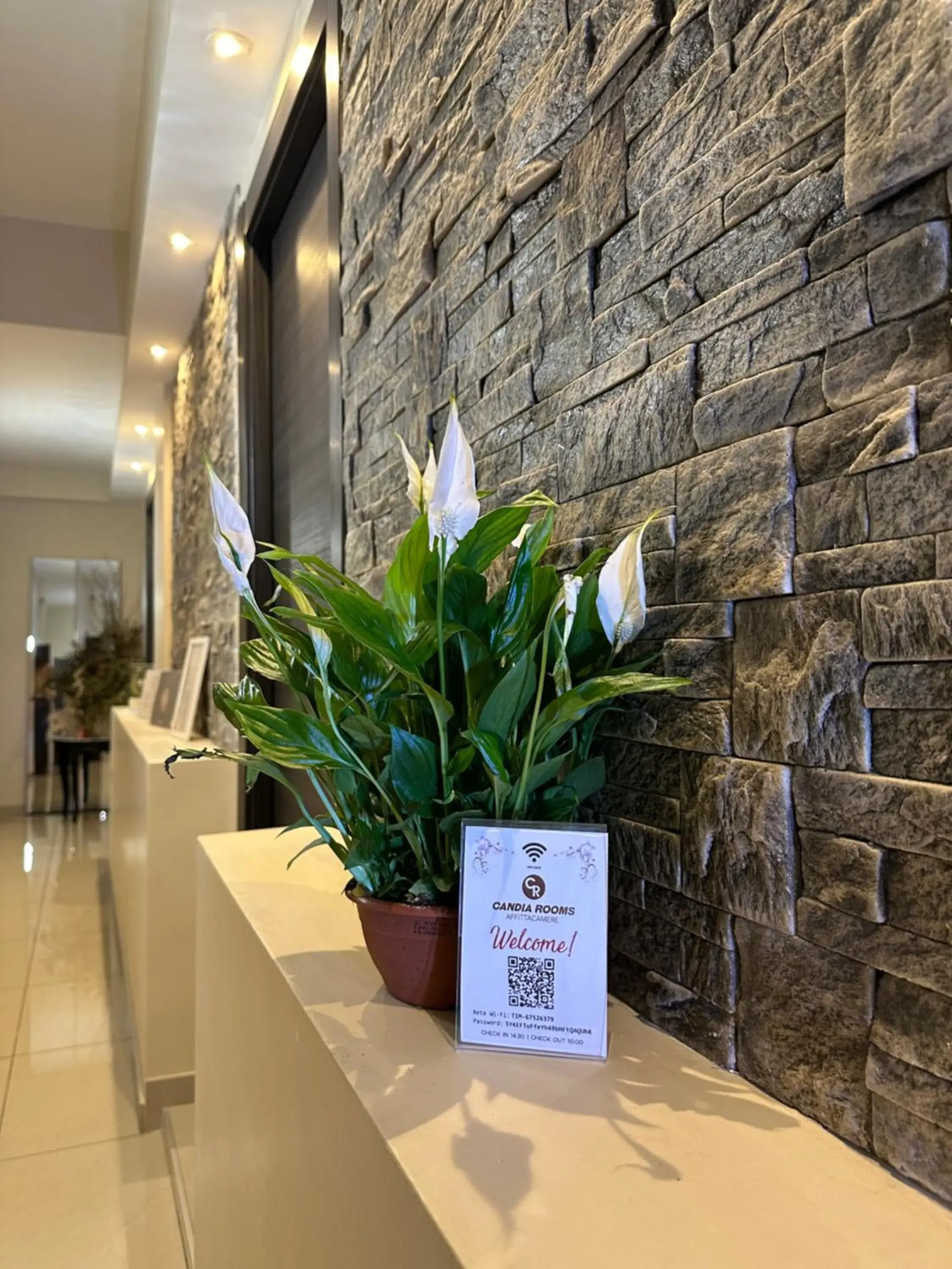 Lobby or reception in Candia Rooms Lobby or reception in Candia Rooms