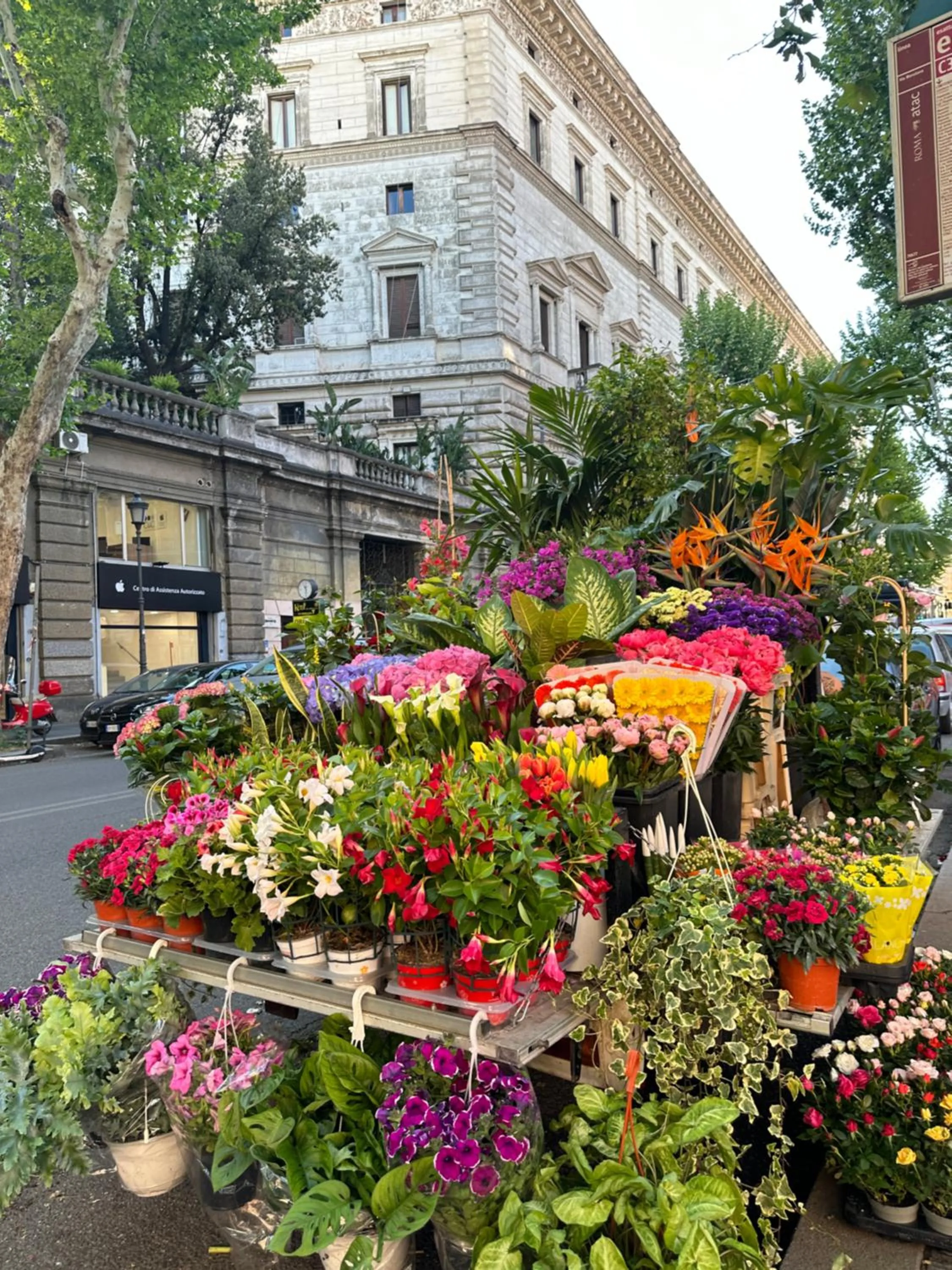 Property building in Candia Rooms