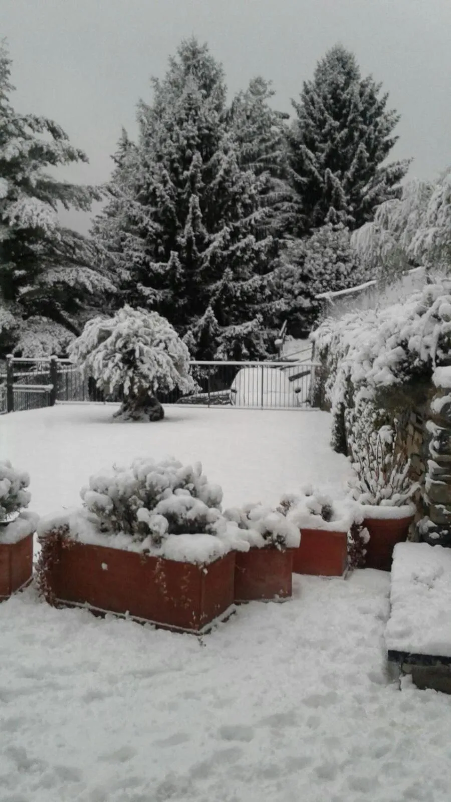 Swimming pool in Villa Silvi piscina sauna e hot tub