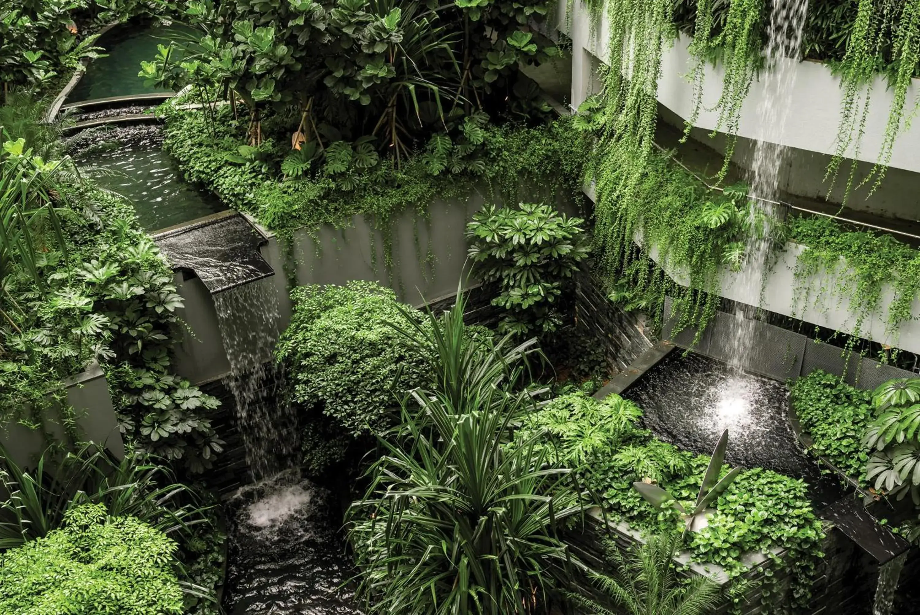 Fitness centre/facilities in Grand Hyatt Singapore Fitness centre/facilities in Grand Hyatt Singapore