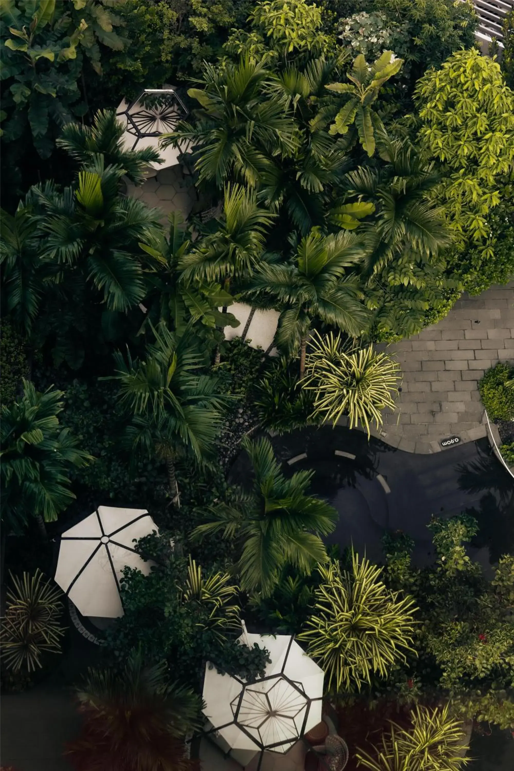 Swimming pool in Grand Hyatt Singapore Swimming pool in Grand Hyatt Singapore