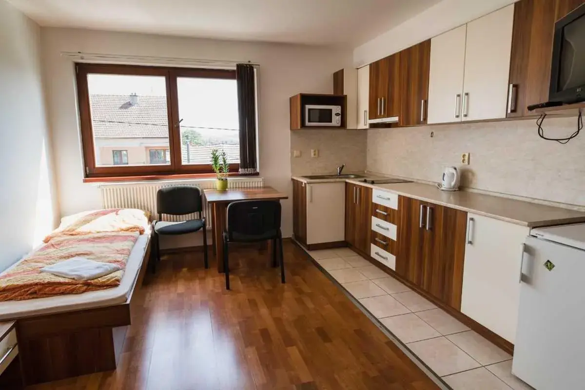 Studio - single occupancy in Penzion U Holuba Studio - single occupancy in Penzion U Holuba