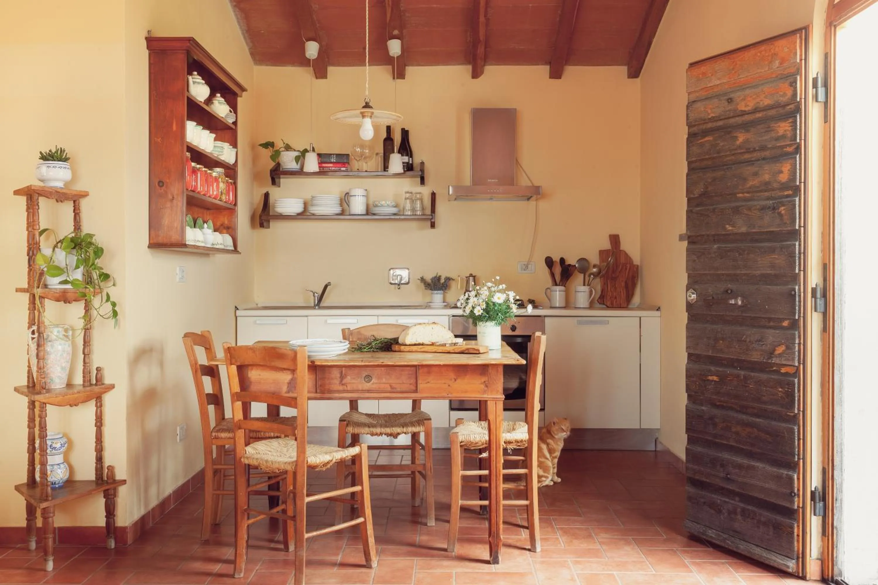 Kitchen or kitchenette in Agriturismo Bio Aia della Colonna