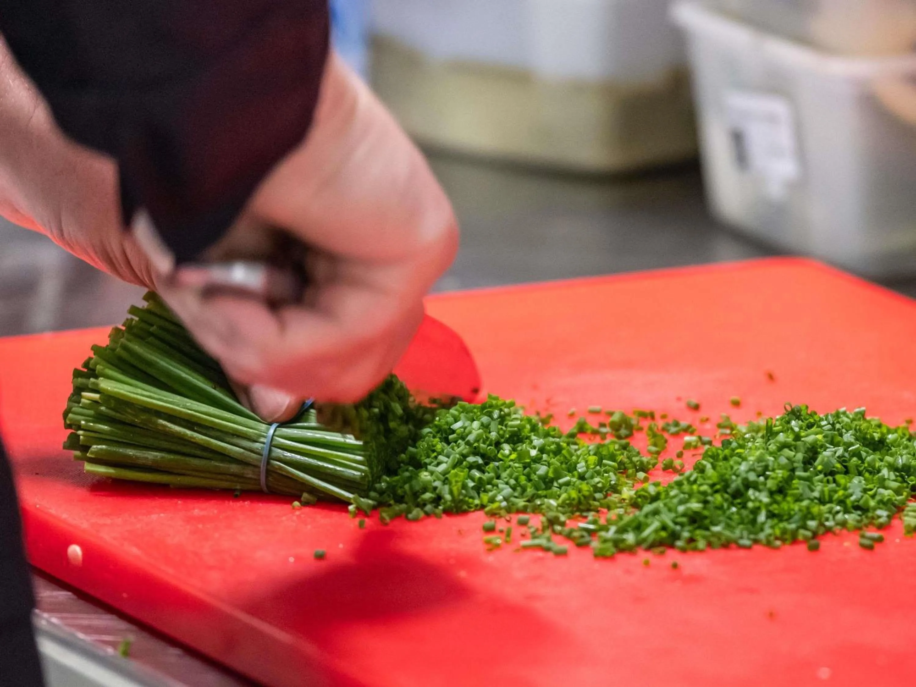 Restaurant/places to eat in ibis Nantes Treillières
