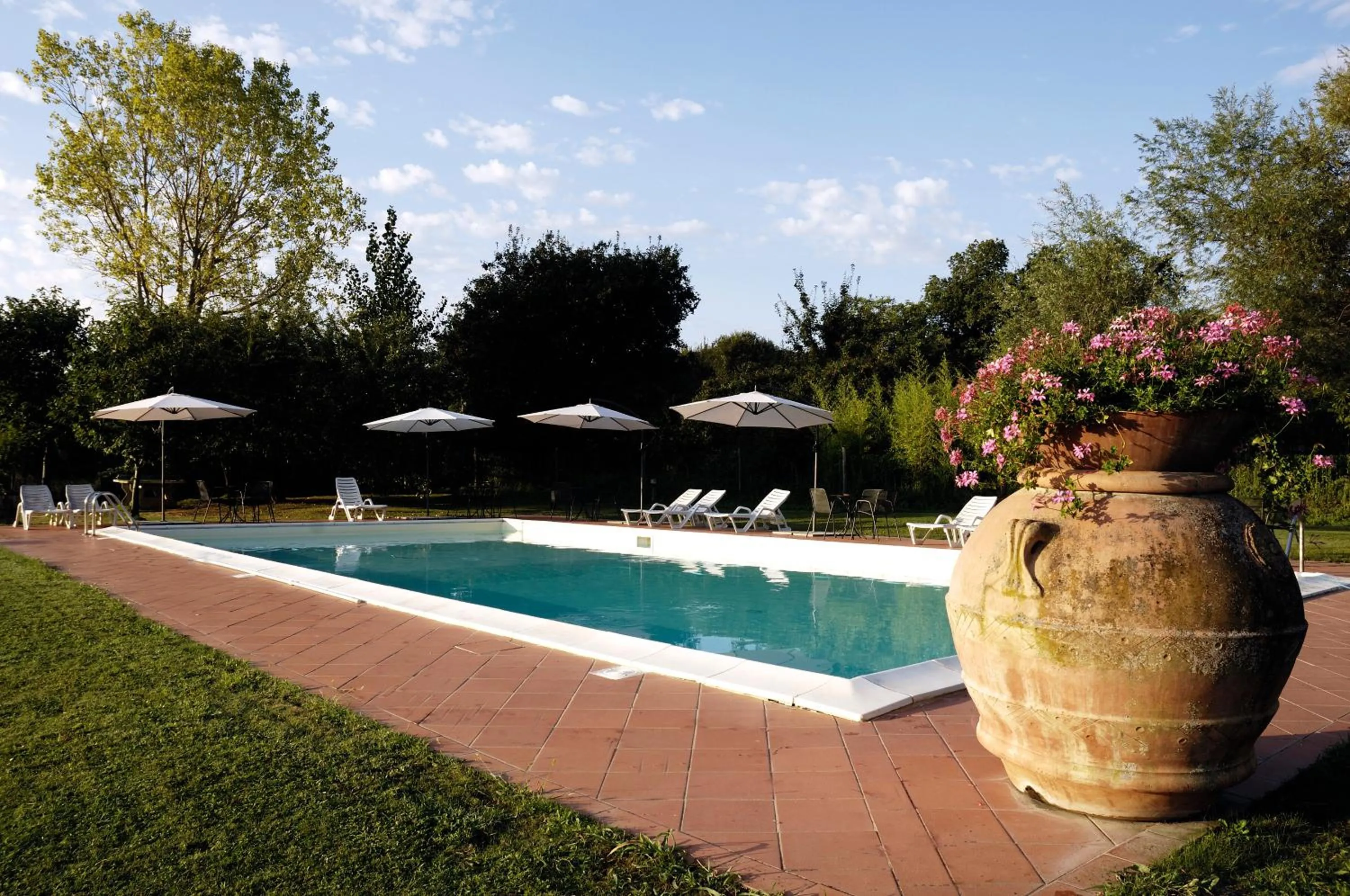 Swimming pool in Agriturismo Il Sole Verde