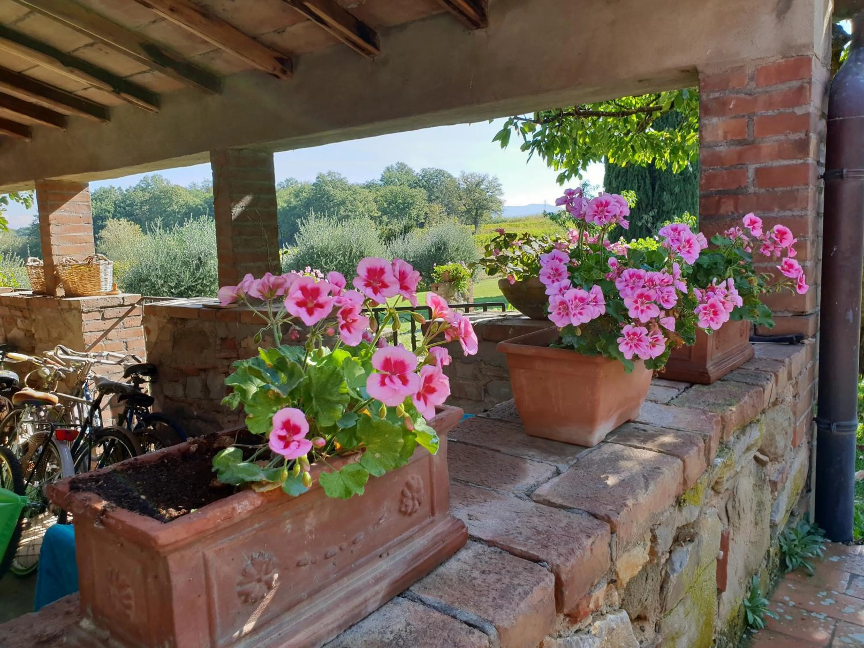 Patio in Agriturismo Il Sole Verde