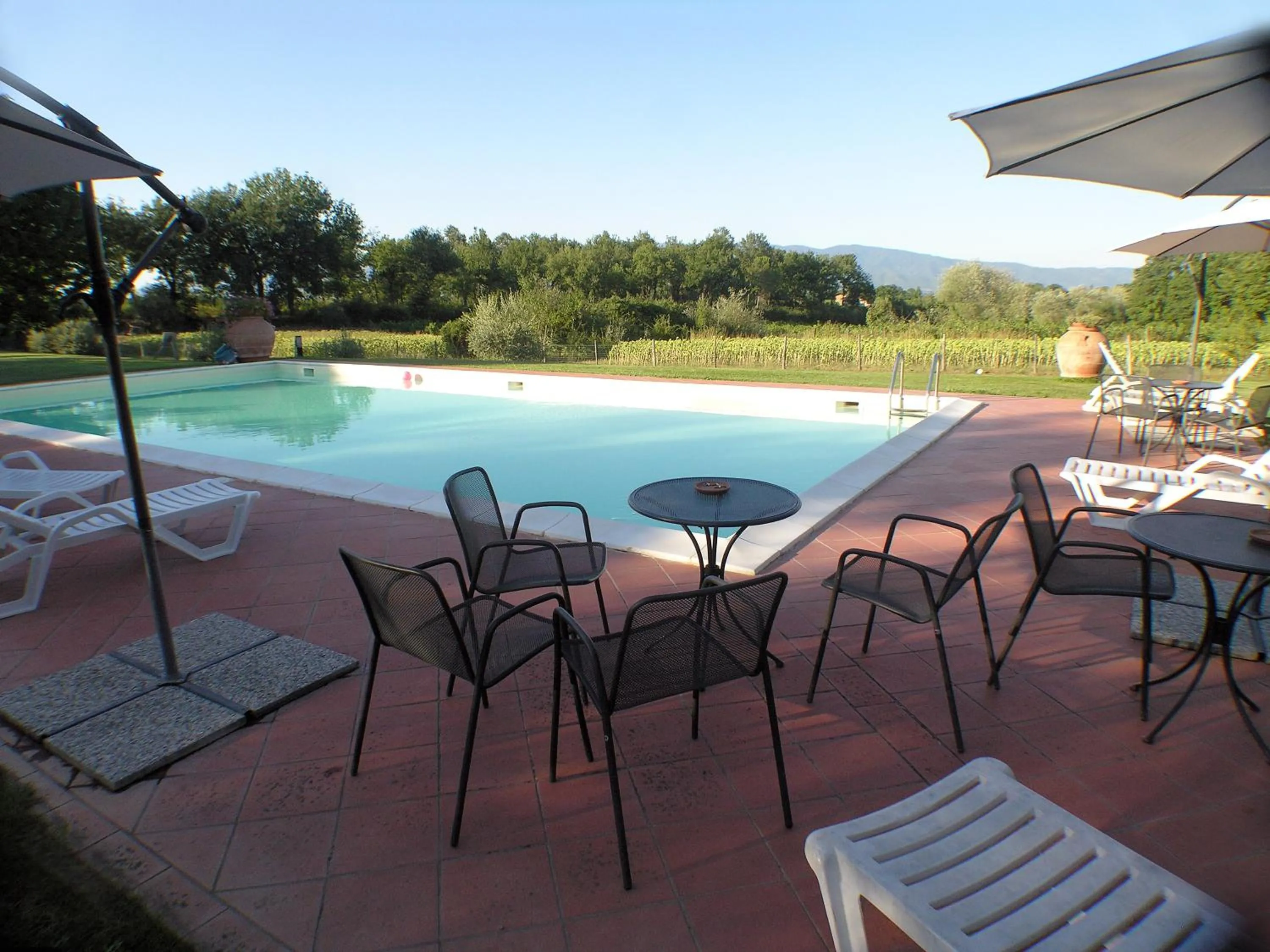 Swimming pool in Agriturismo Il Sole Verde