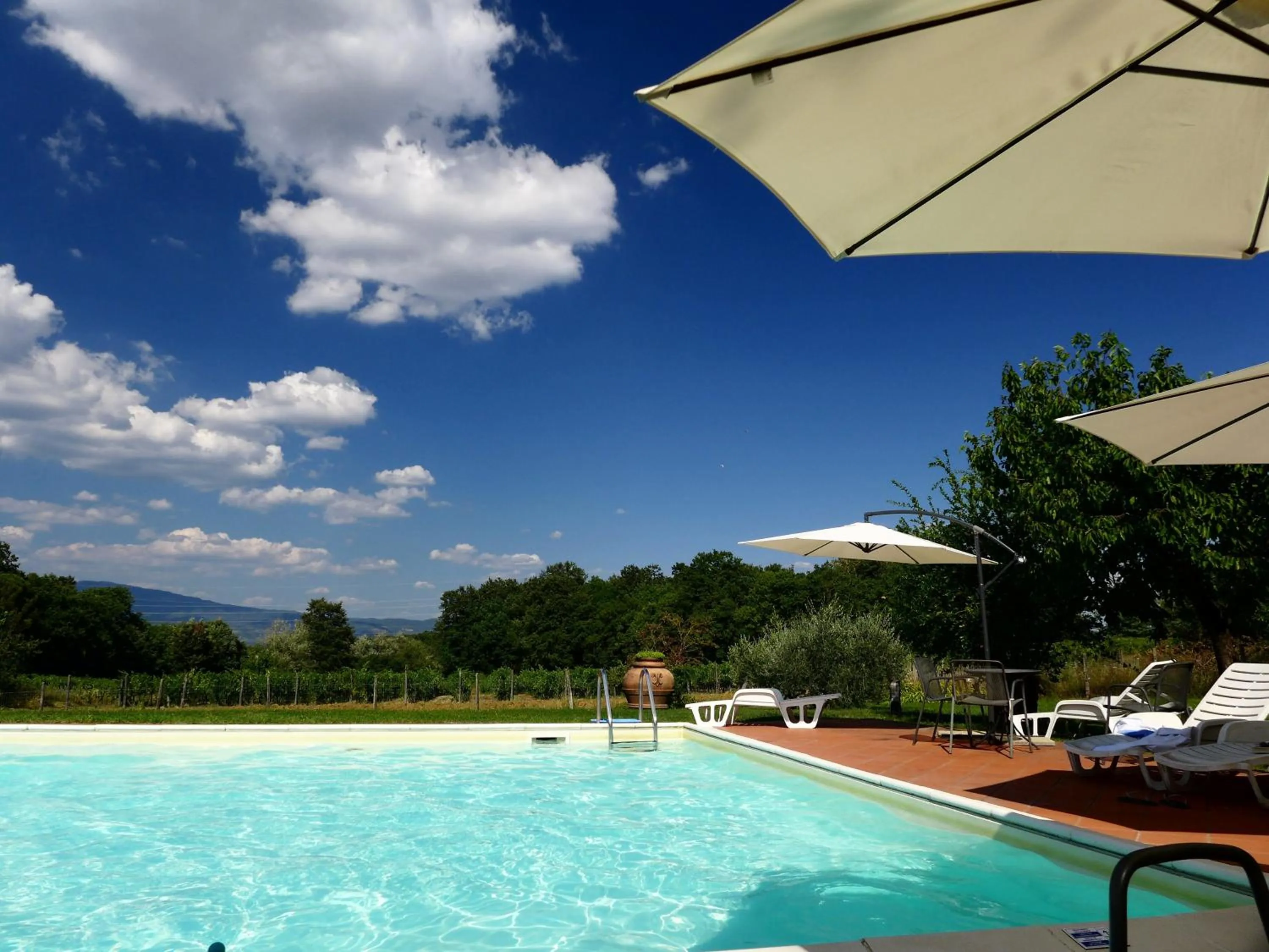 Swimming pool in Agriturismo Il Sole Verde