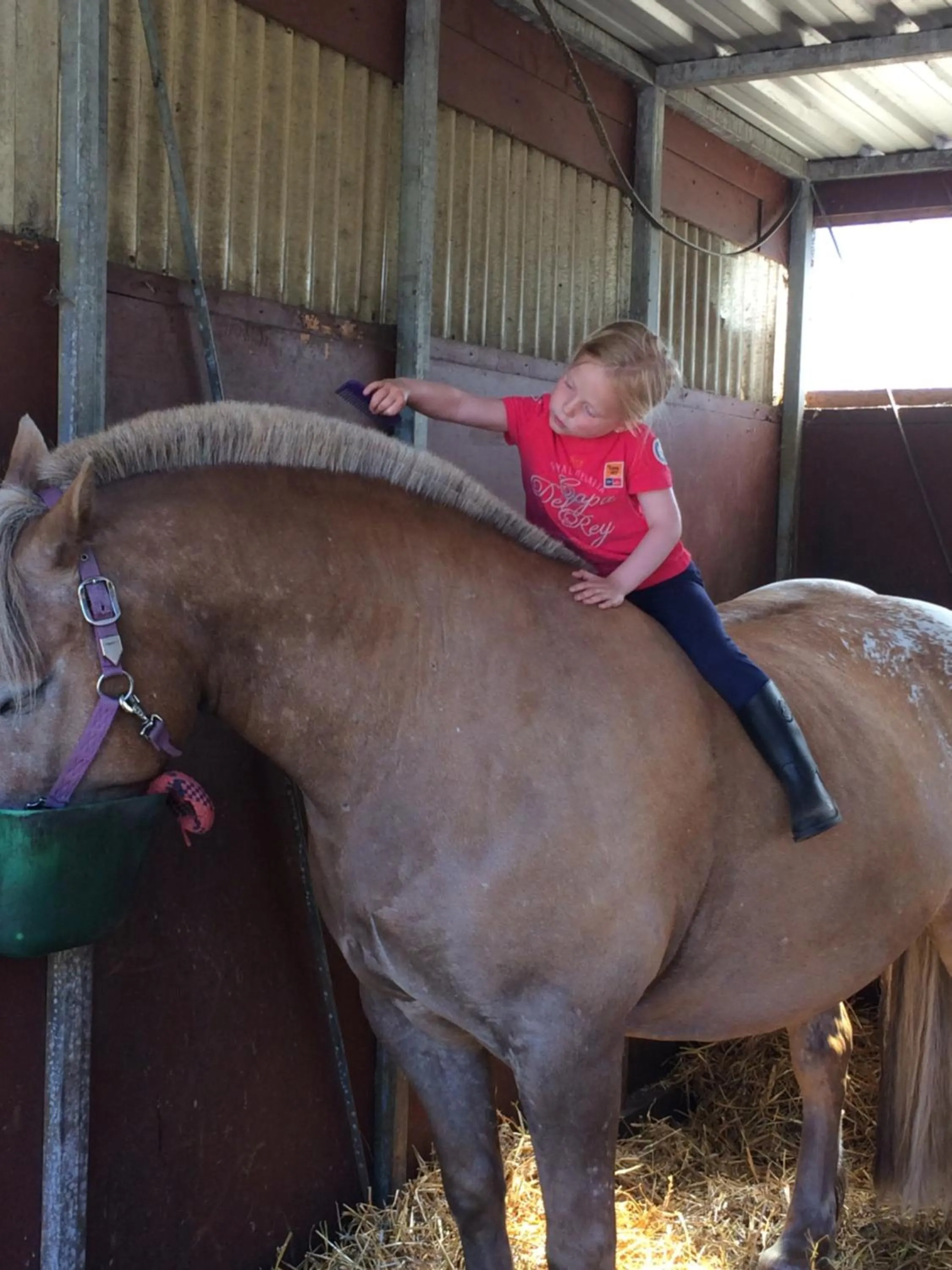 Horse-riding in Villa Strandblick 8