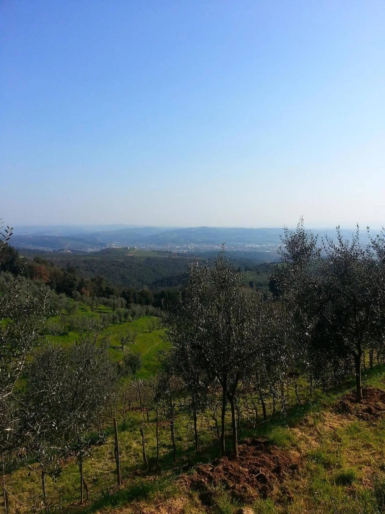 Area and facilities in B&B La Casa Di Zefiro
