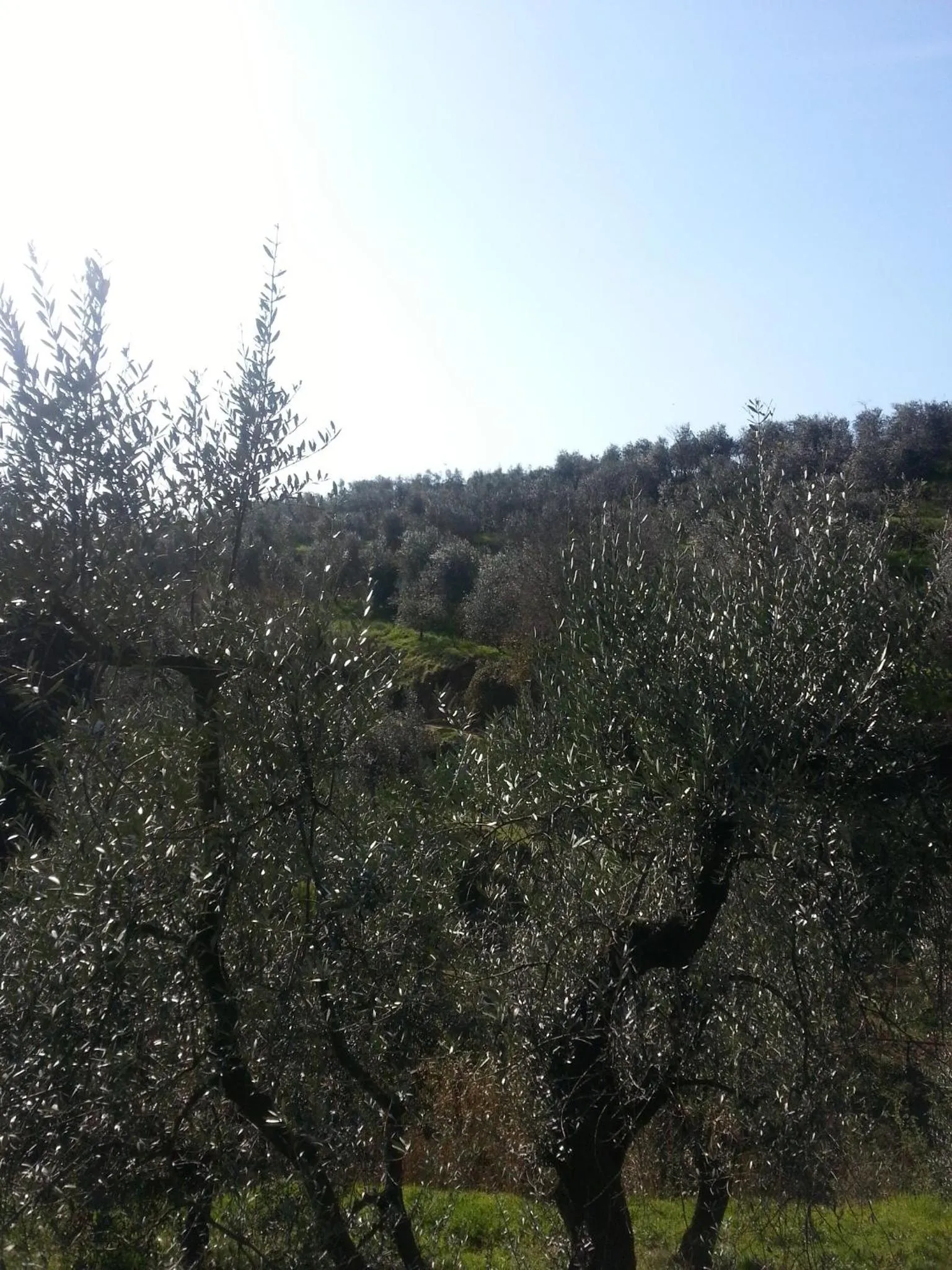 Area and facilities in B&B La Casa Di Zefiro