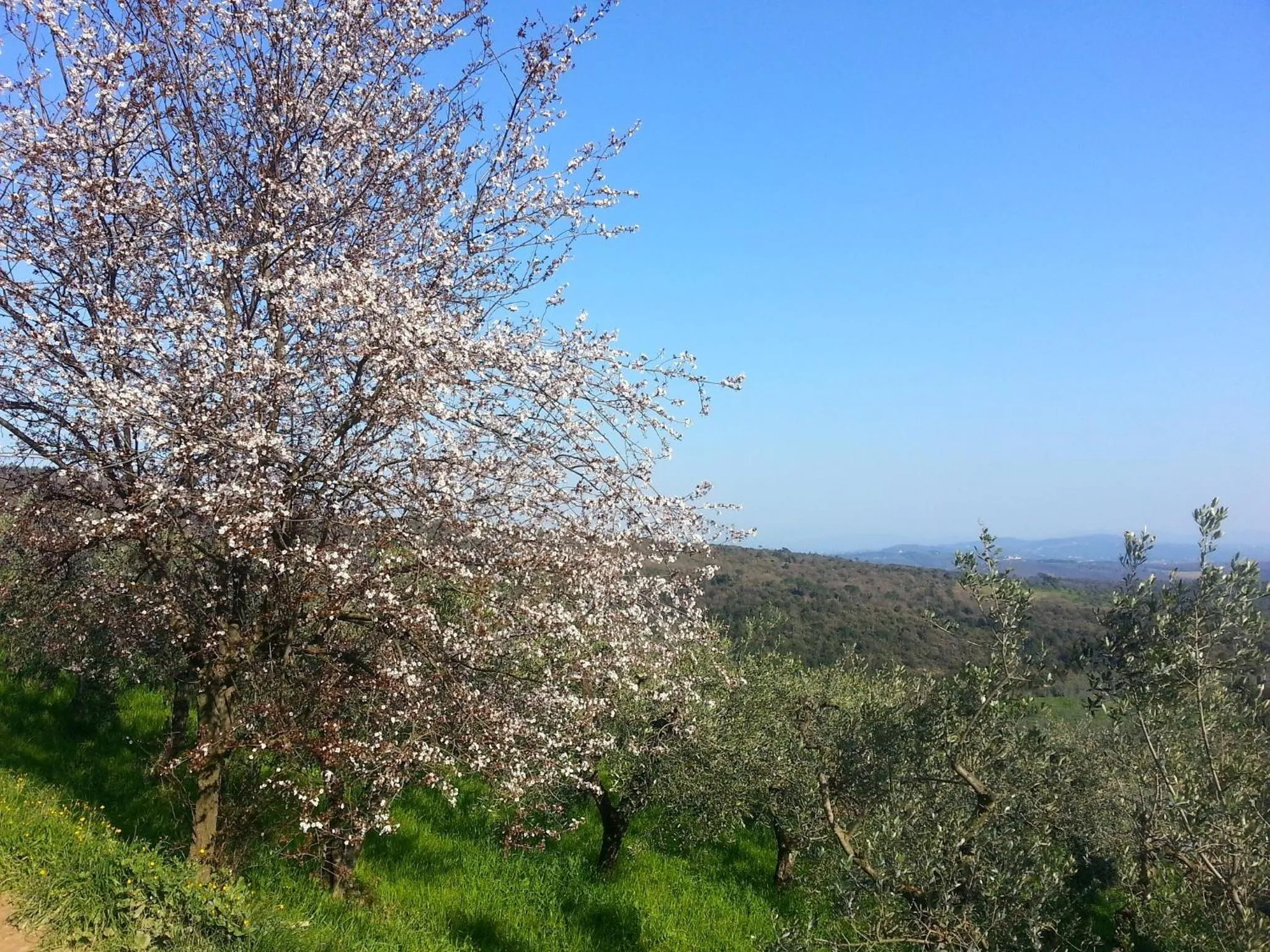 Area and facilities in B&B La Casa Di Zefiro
