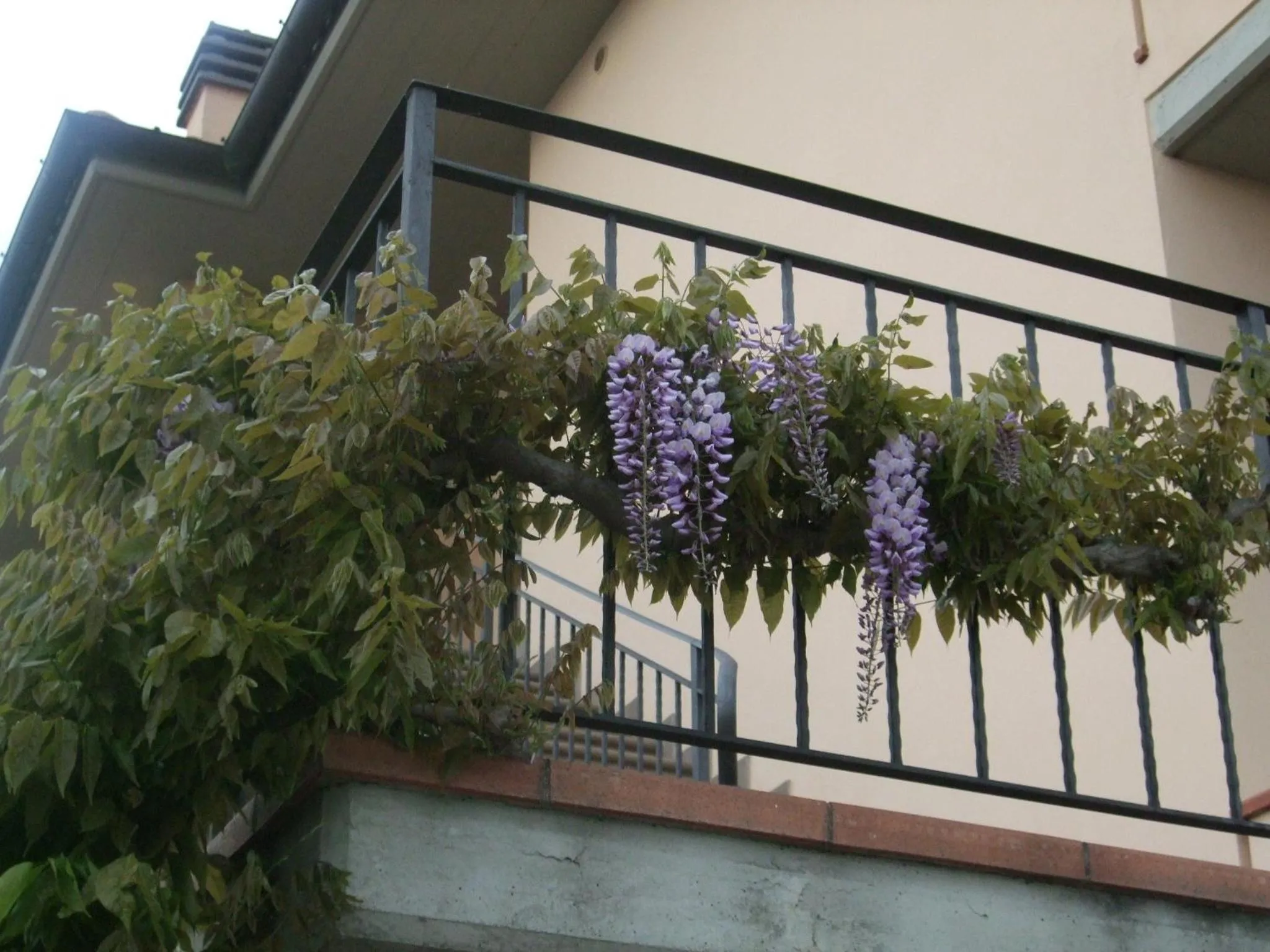 Facade/entrance in B&B La Casa Di Zefiro