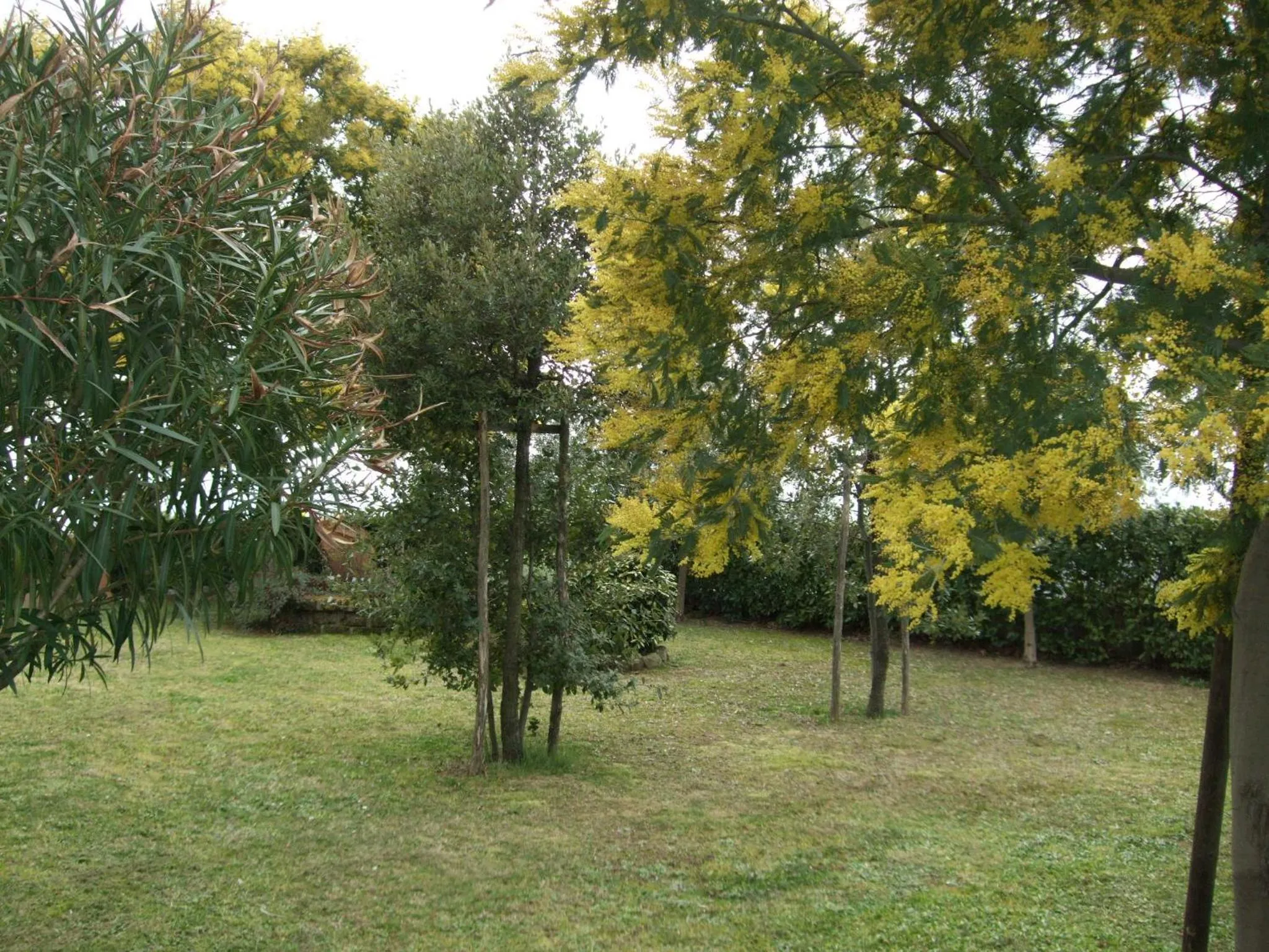 Garden in B&B La Casa Di Zefiro