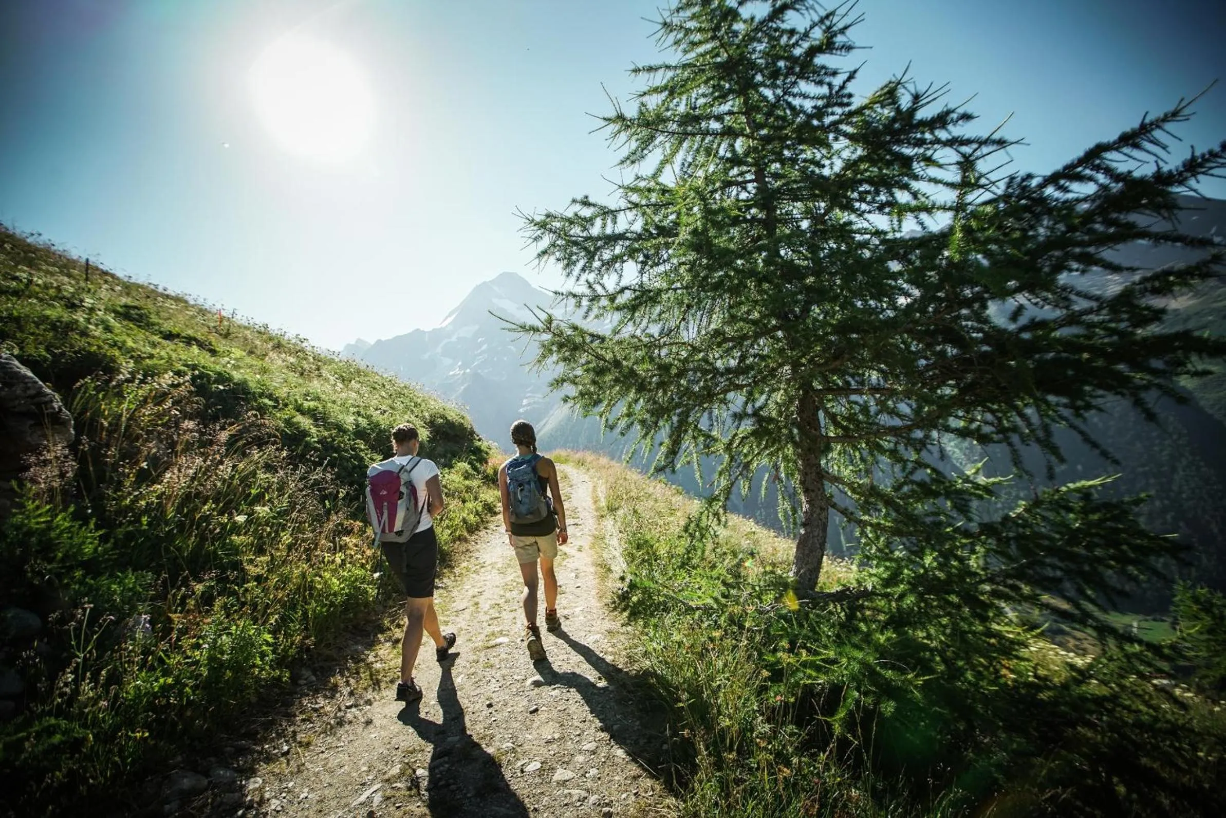 Hiking in Hotel Nest- und Bietschhorn