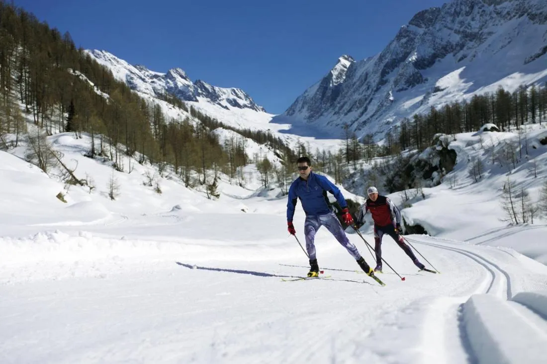 Hotel Nest- und Bietschhorn