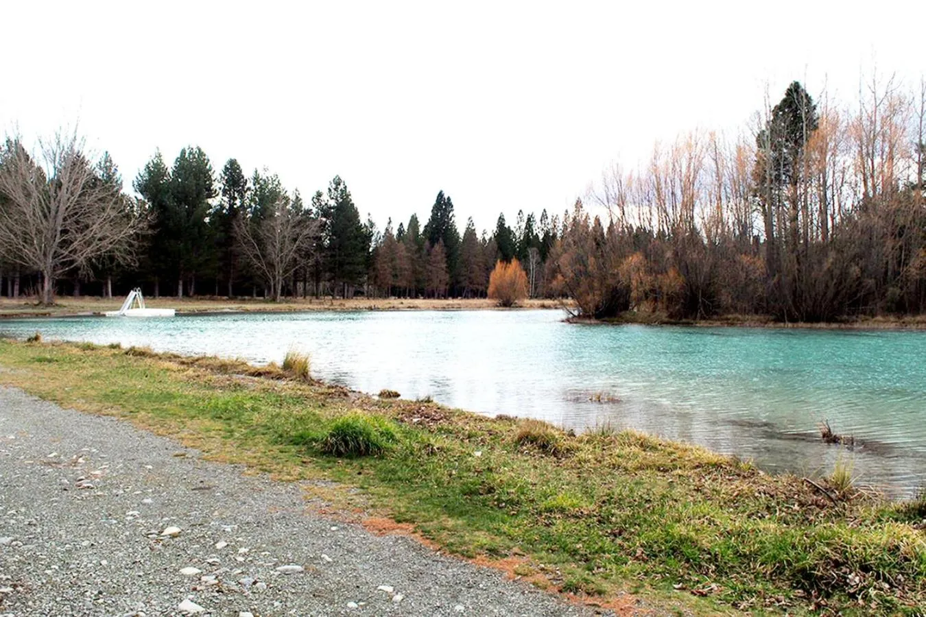 Natural landscape in Lake Ruataniwha Holiday Park