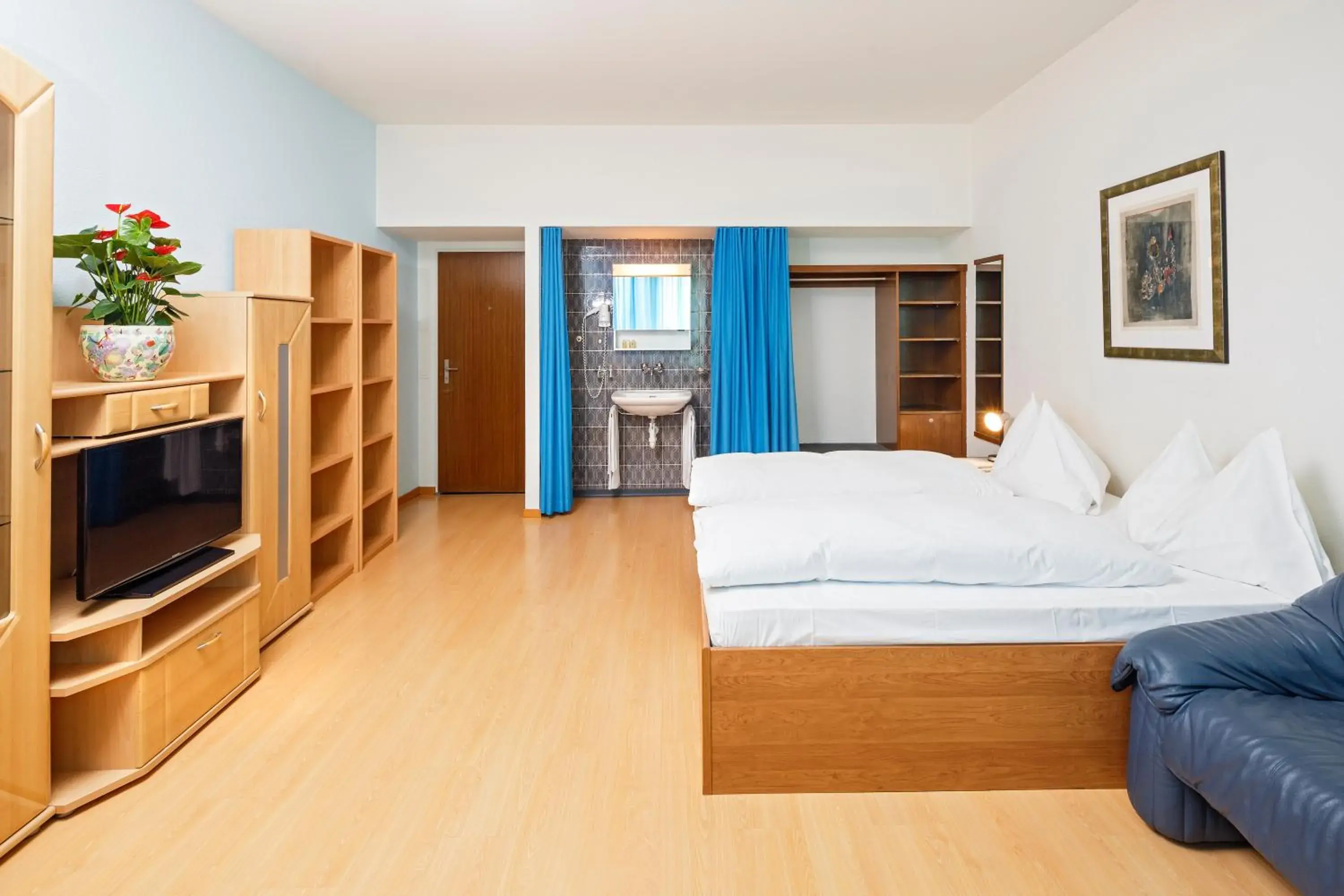 Double Room with Shared Bathroom in Residence zum Löwen Double Room with Shared Bathroom in Residence zum Löwen