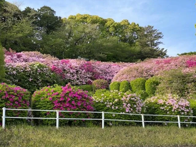 Nearby landmark in Hatago Hashimoto