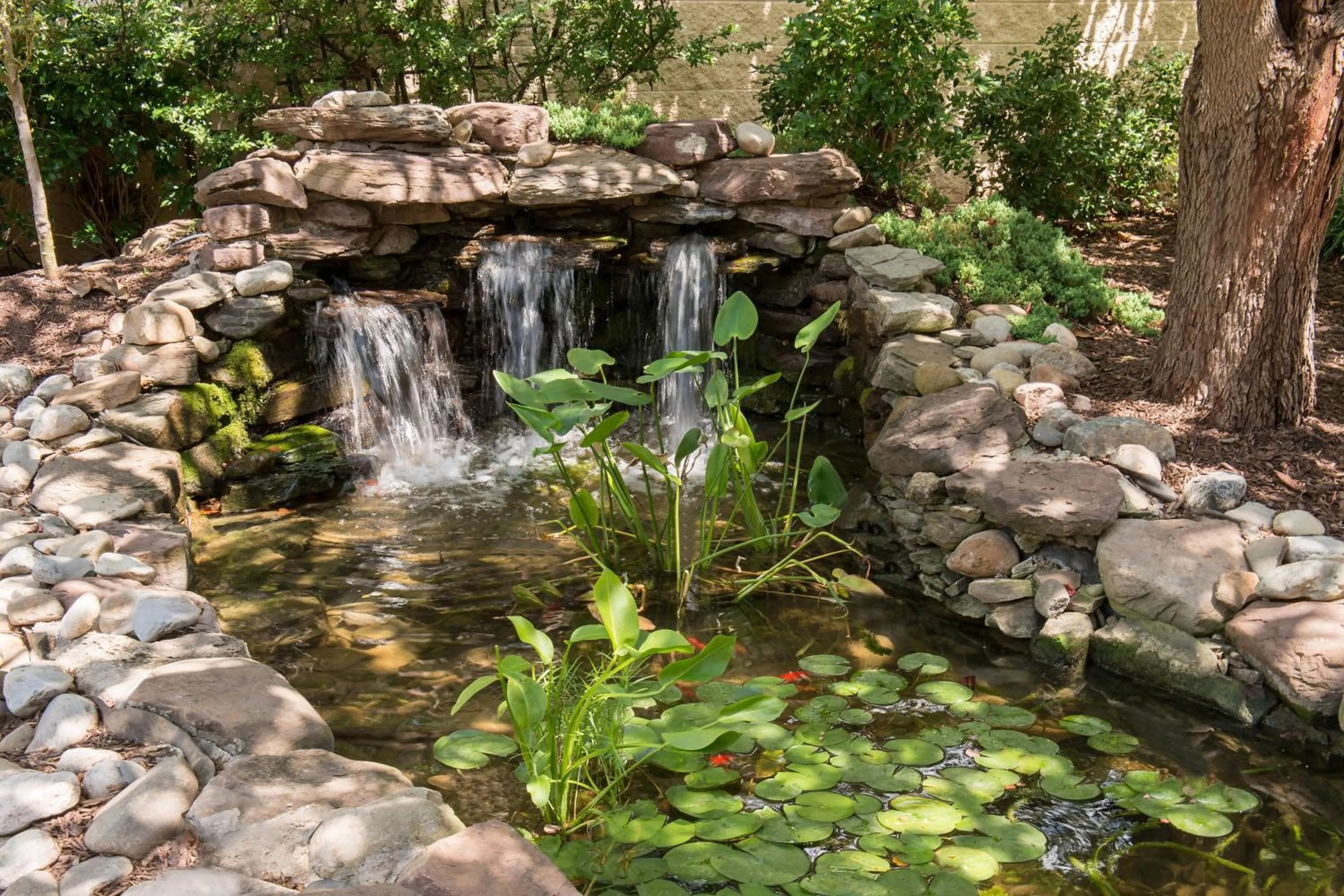 View (from property/room) in Courtyard by Marriott Frederick