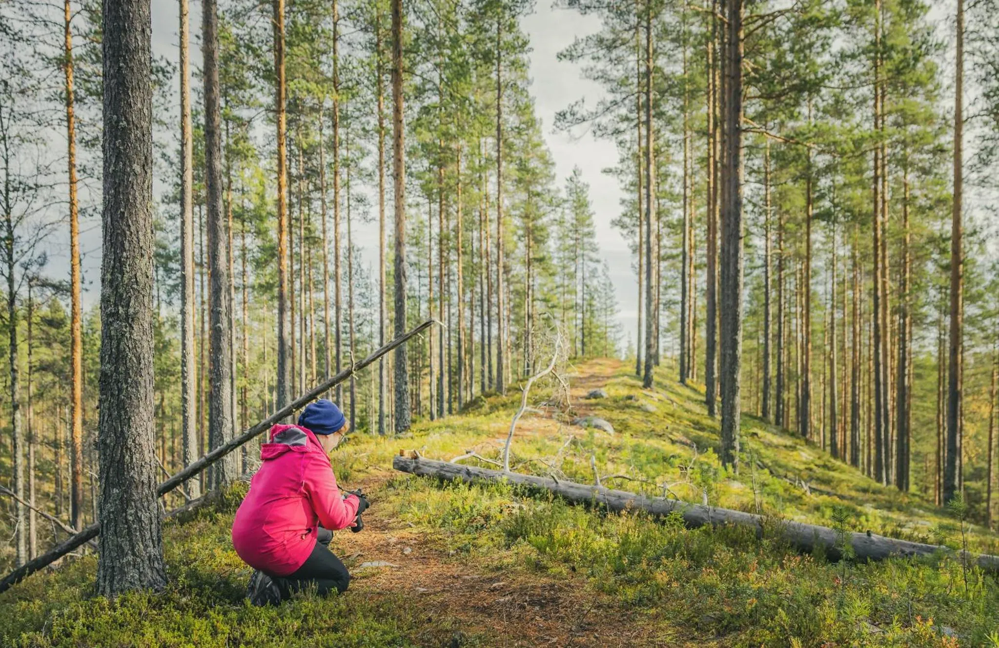 Autumn in Original Sokos Hotel Koljonvirta