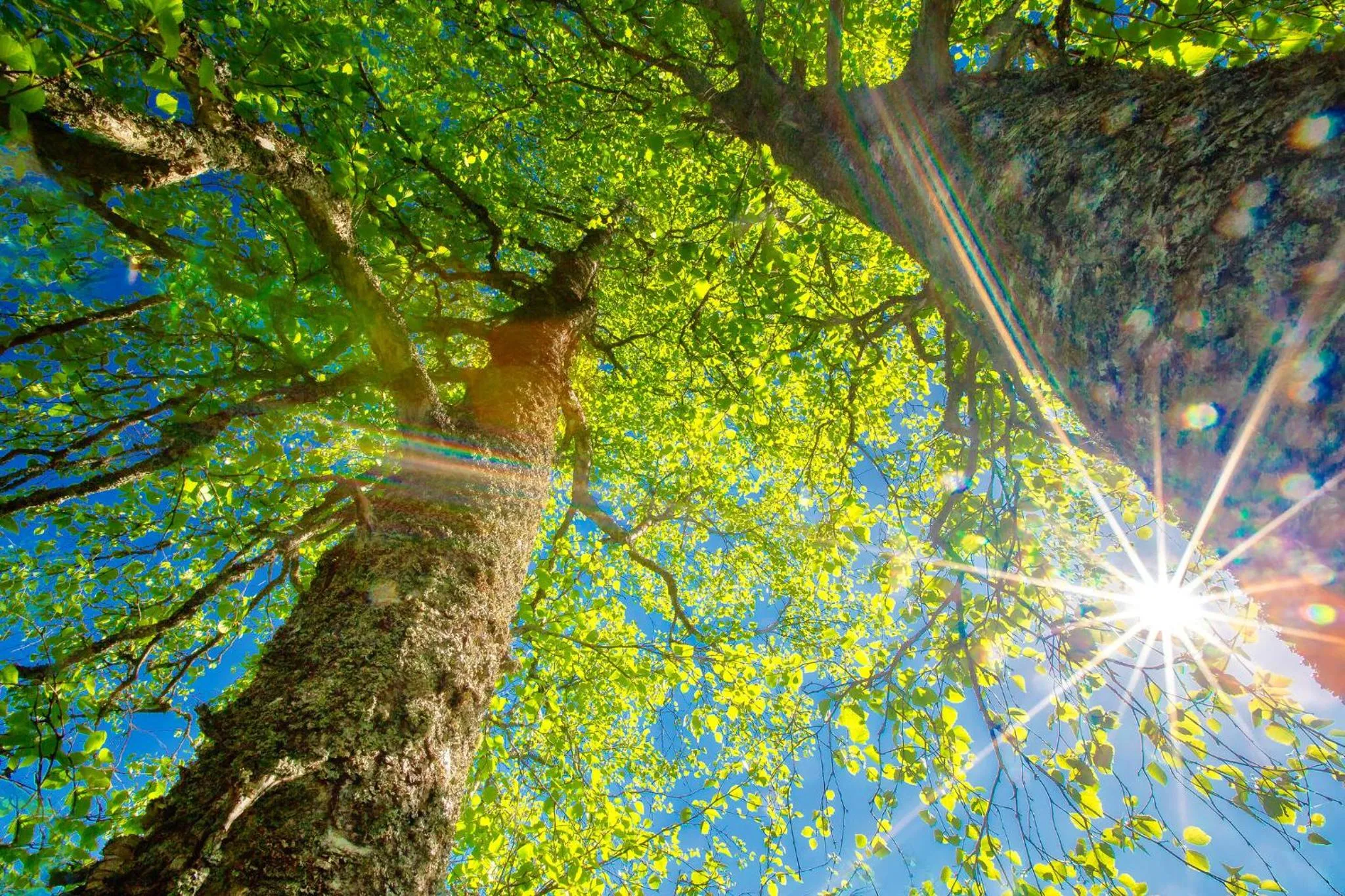 Summer in Original Sokos Hotel Koljonvirta