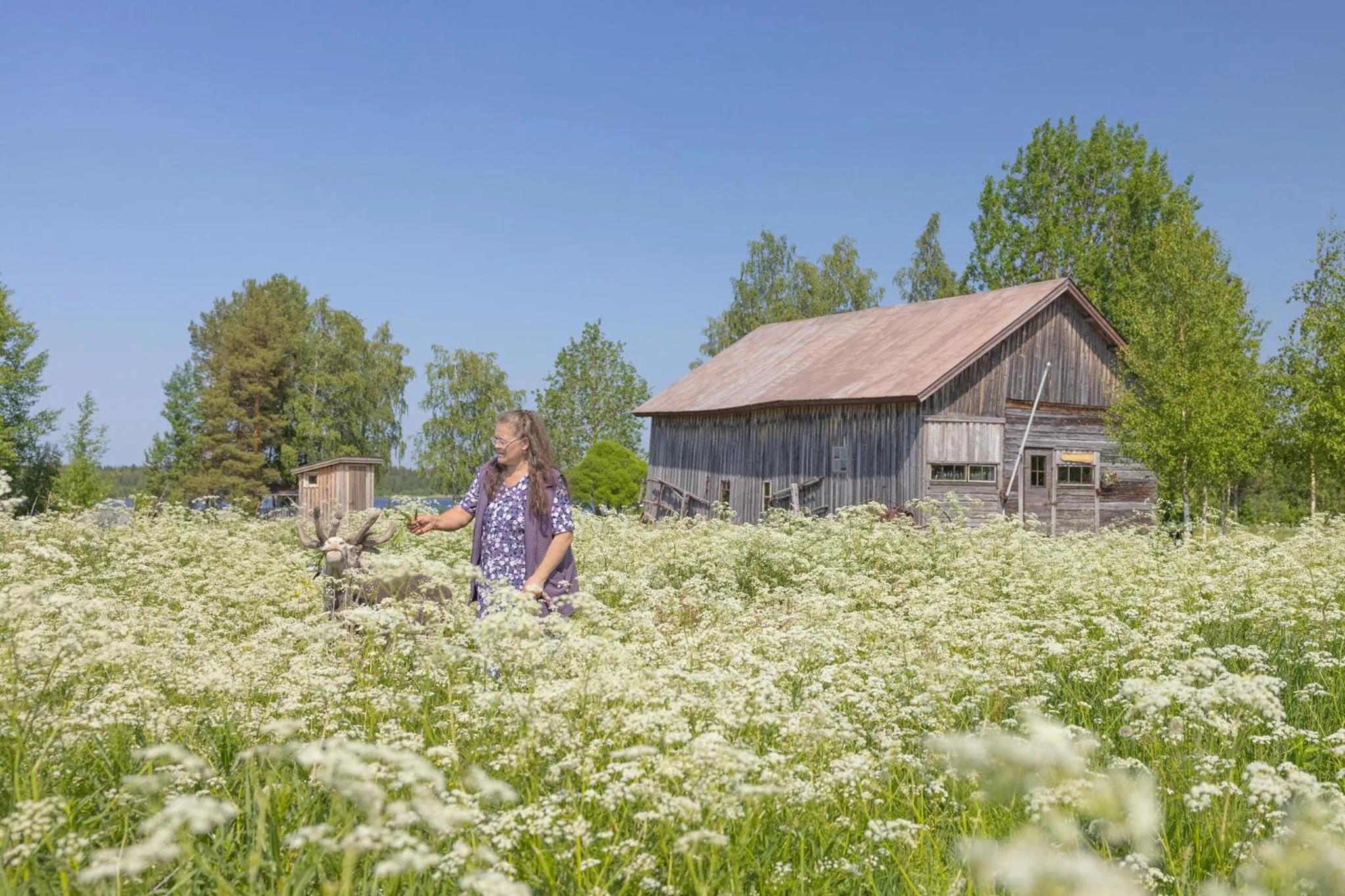 Summer in Original Sokos Hotel Koljonvirta