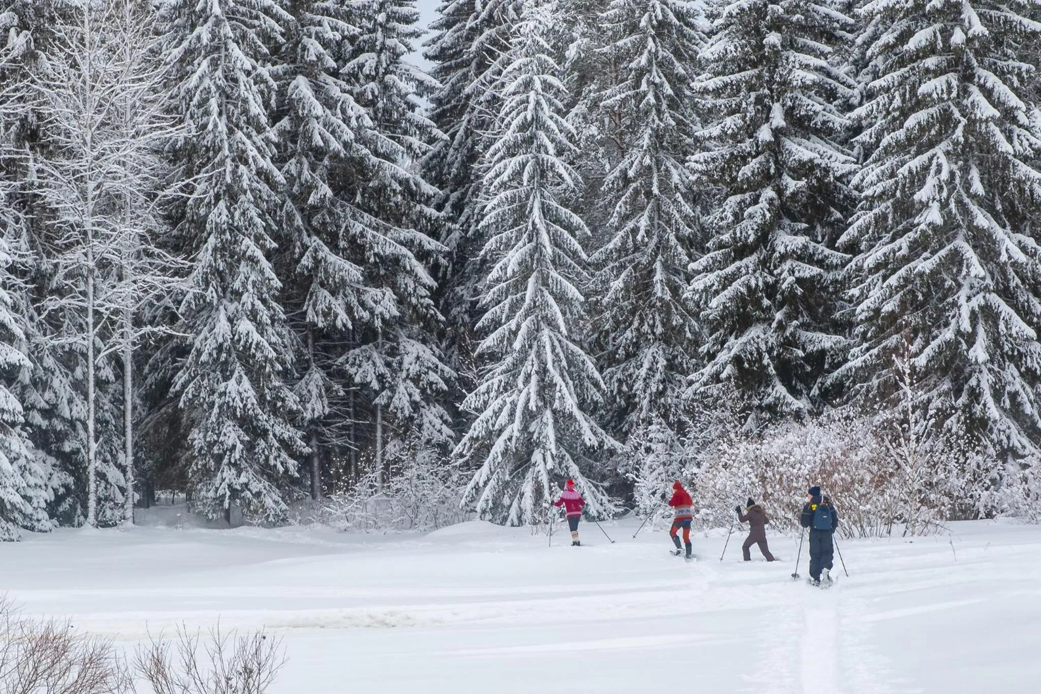 Winter in Original Sokos Hotel Koljonvirta
