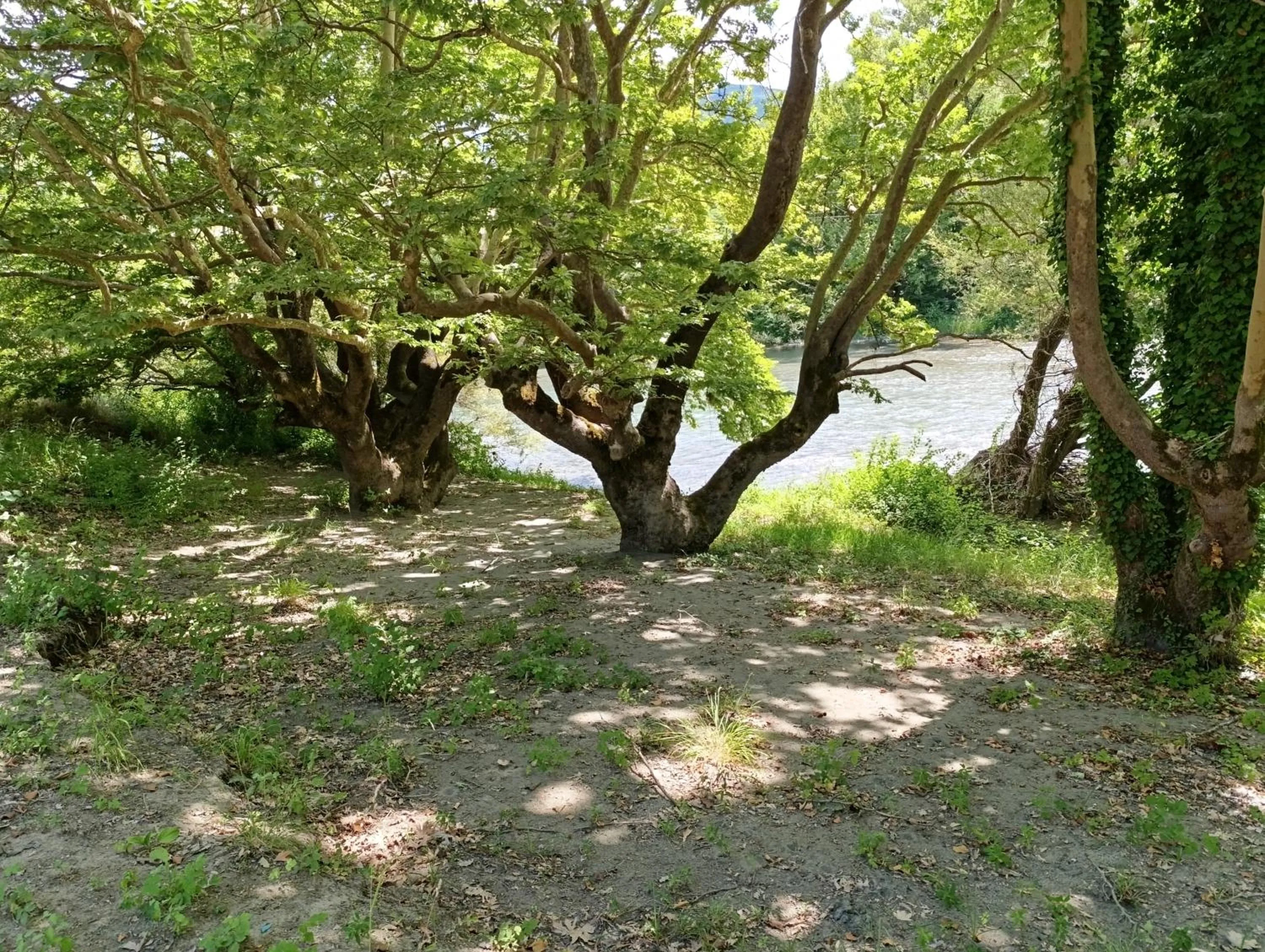 Bourazani Wild Life Resort