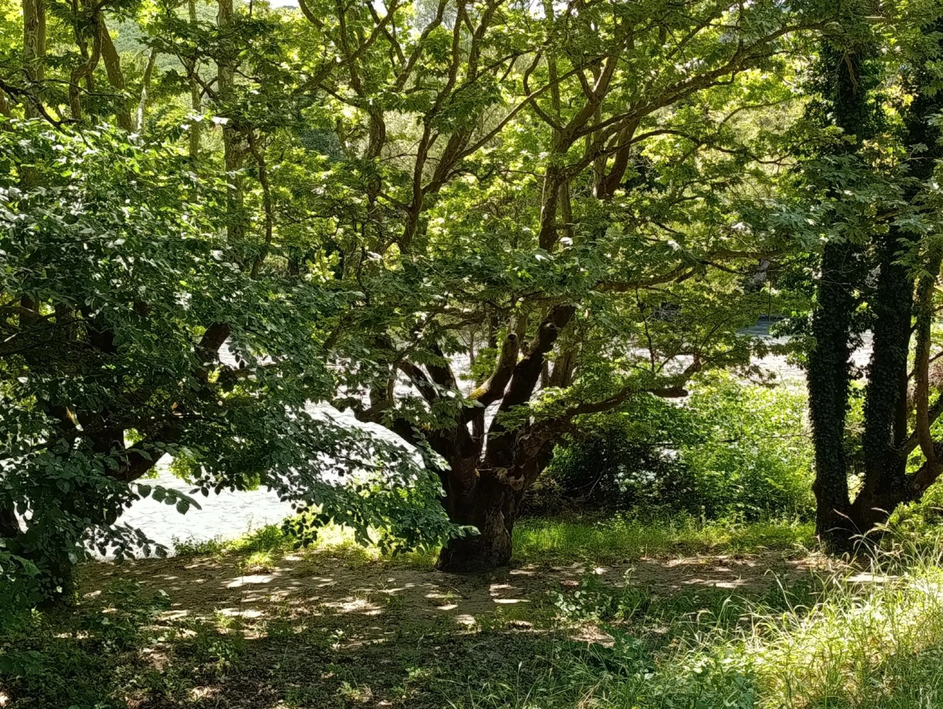 Bourazani Wild Life Resort