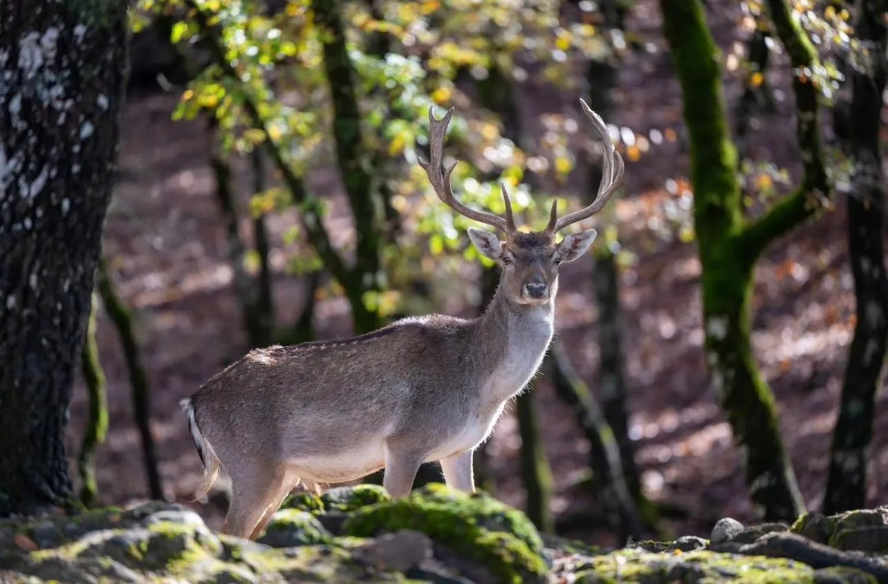 Bourazani Wild Life Resort