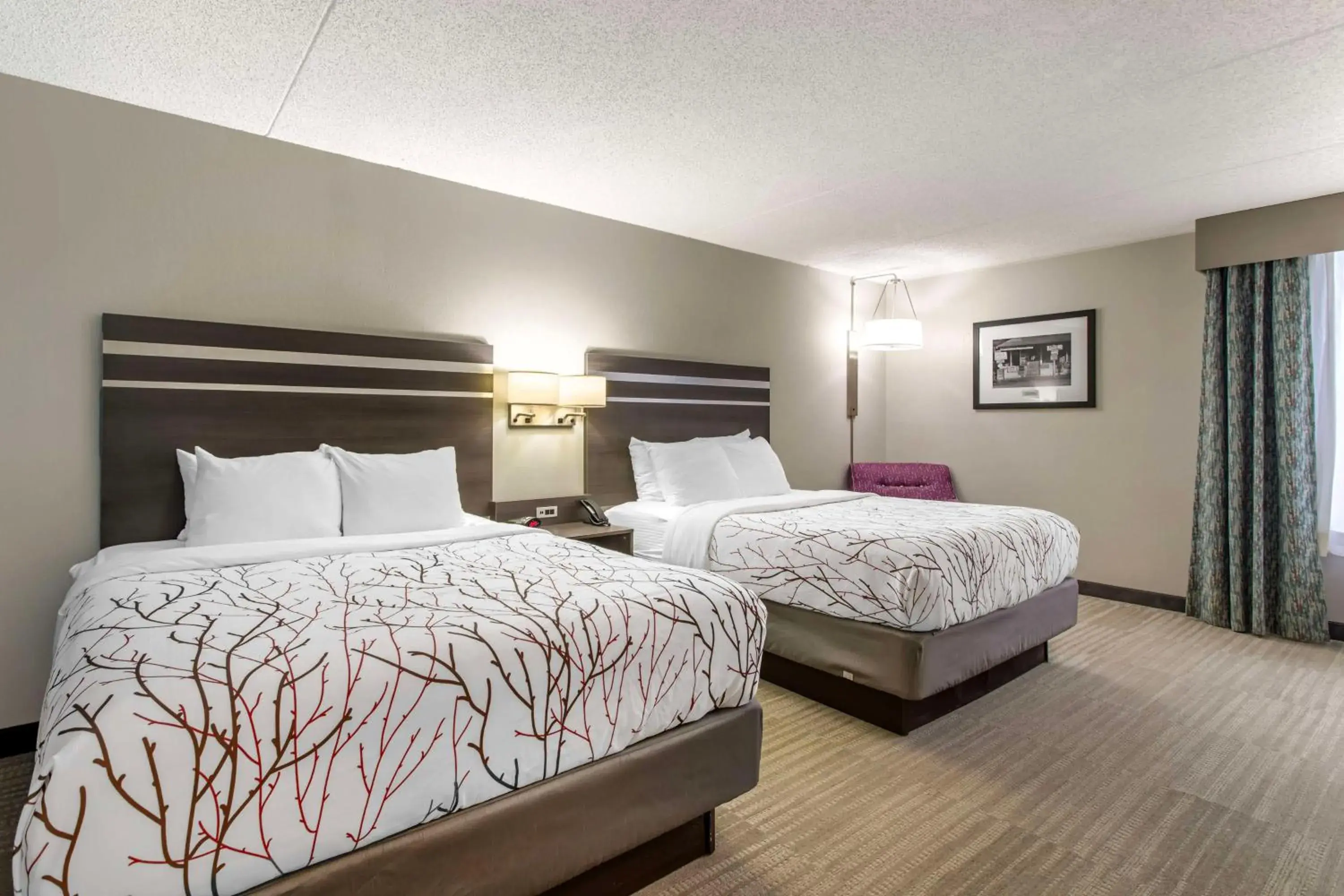 Bedroom, Bed in Best Western Plus Knoxville Cedar Bluff Bedroom, Bed in Best Western Plus Knoxville Cedar Bluff